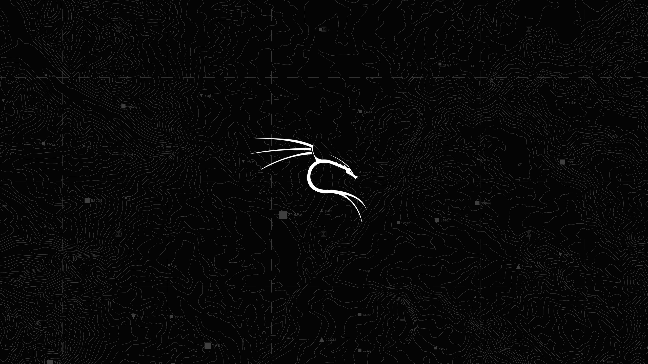2560x1440 Kali Linux Black Wallpaper