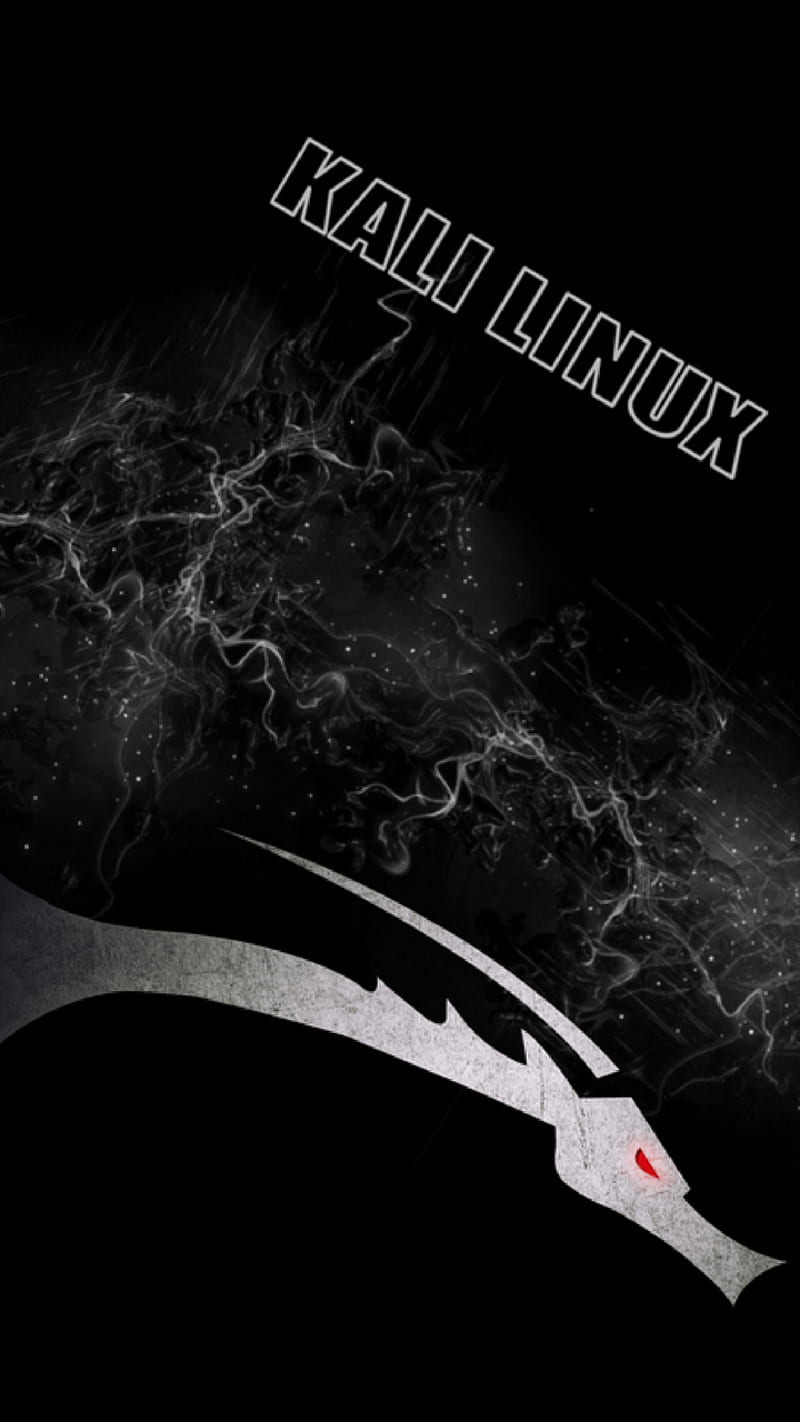 800x1422 1320x2868px, 2K free download. KALI LINUX, black, hack, pc, HD phone wallpaper