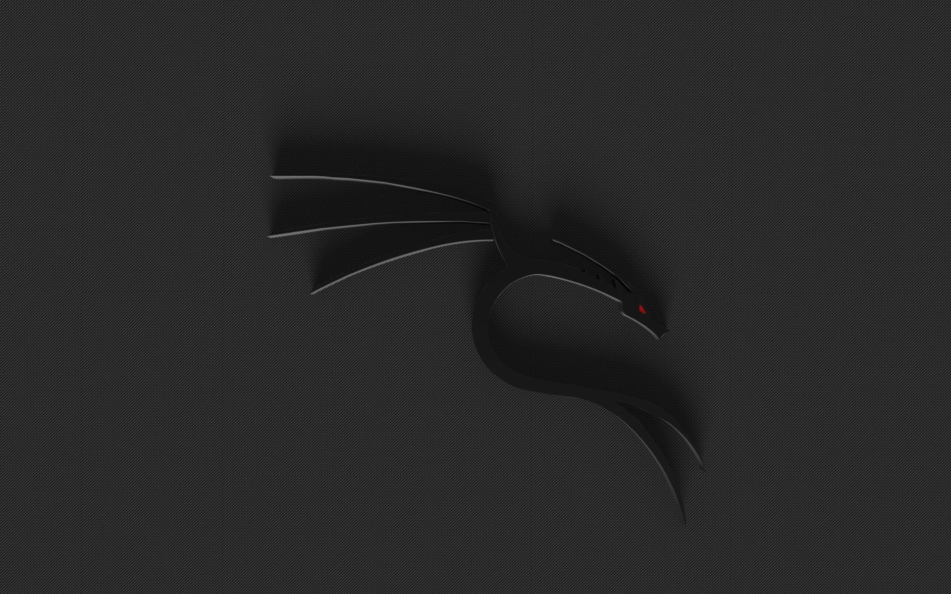 1920x1200 Black Dragon Kali Linux Desktop wallpaper 1920x1200