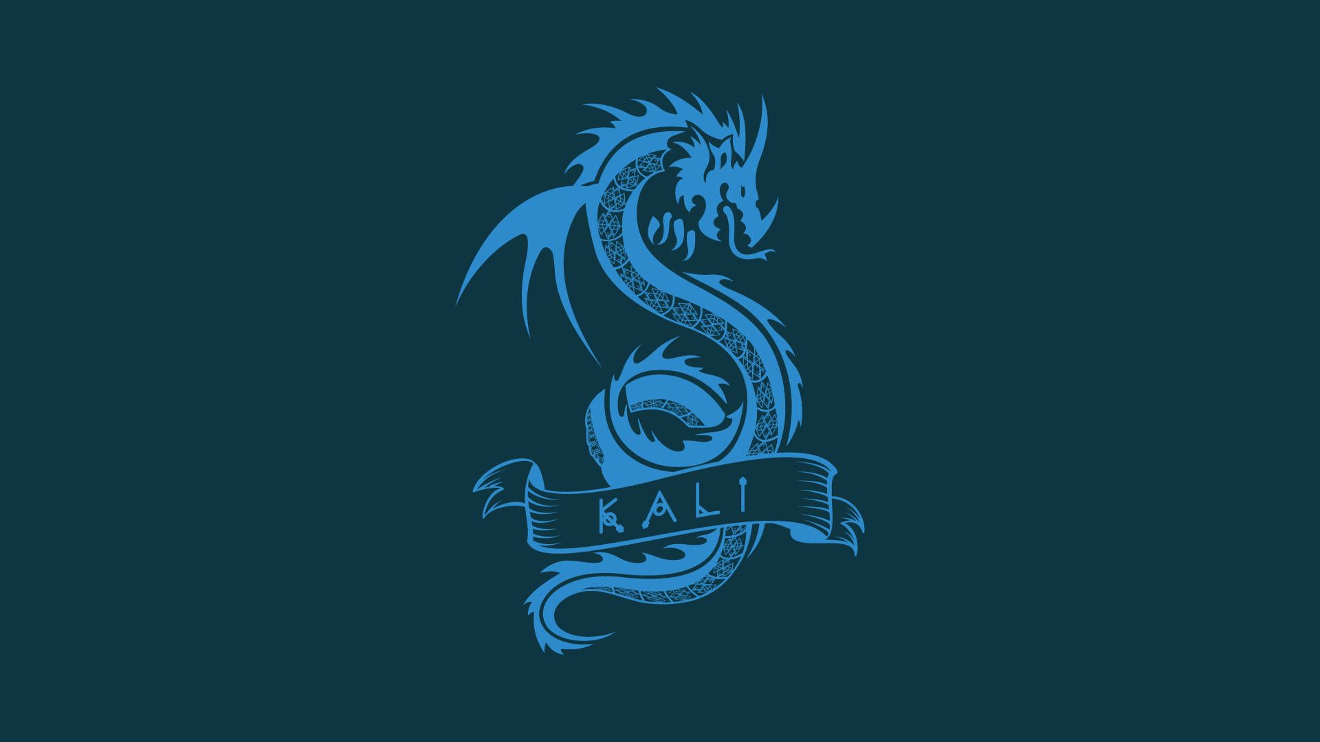 1920x1080 Download Solarized Dragon Kali Linux HD Wallpaper