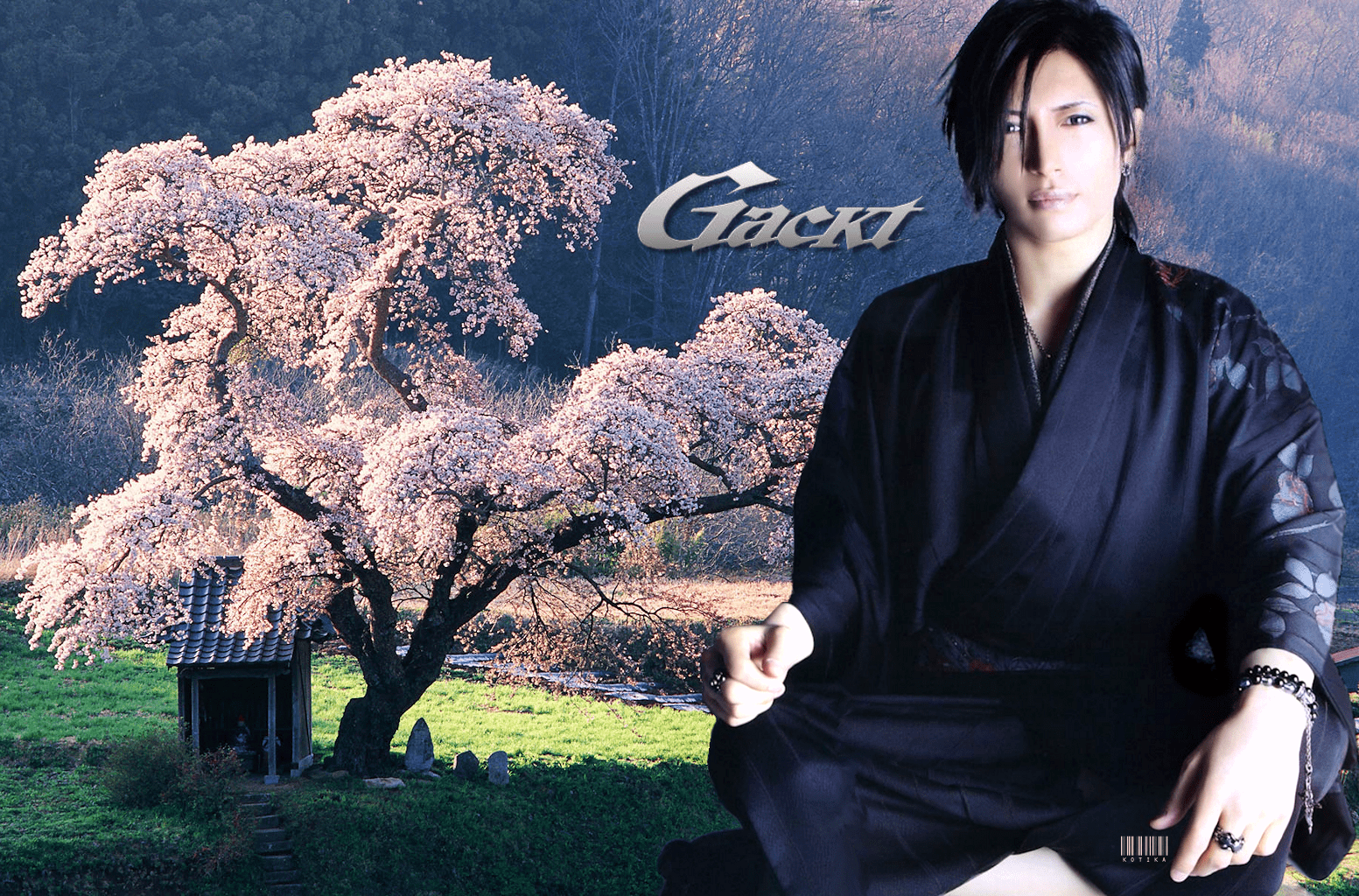 1553x1024 Download Music Gackt Wallpaper