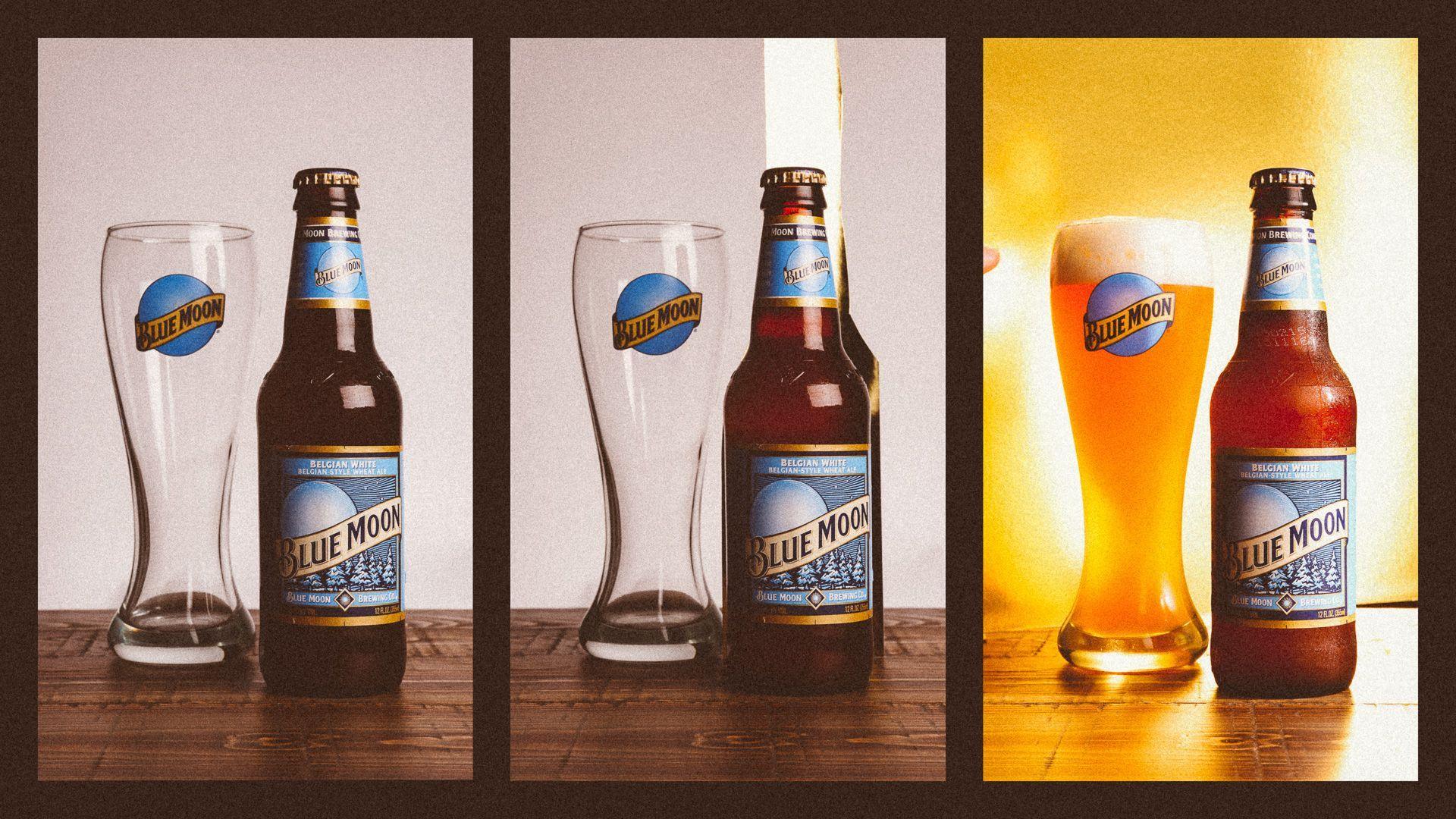 Blue Moon Beer Wallpapers Top Free Blue Moon Beer Backgrounds