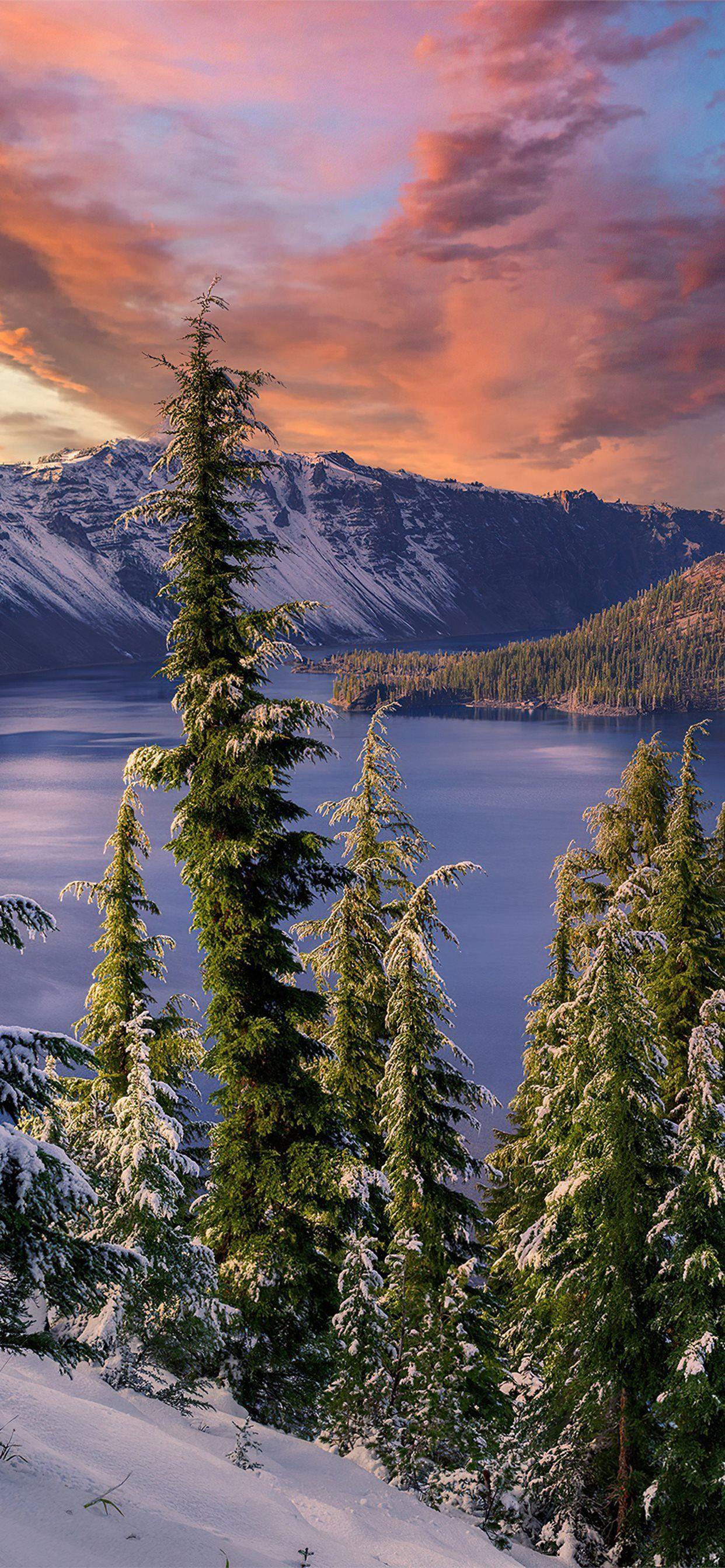 1242x2688 winter snow trees mountains landscape hdr 4k iPhone 11 Wallpaper Free Download
