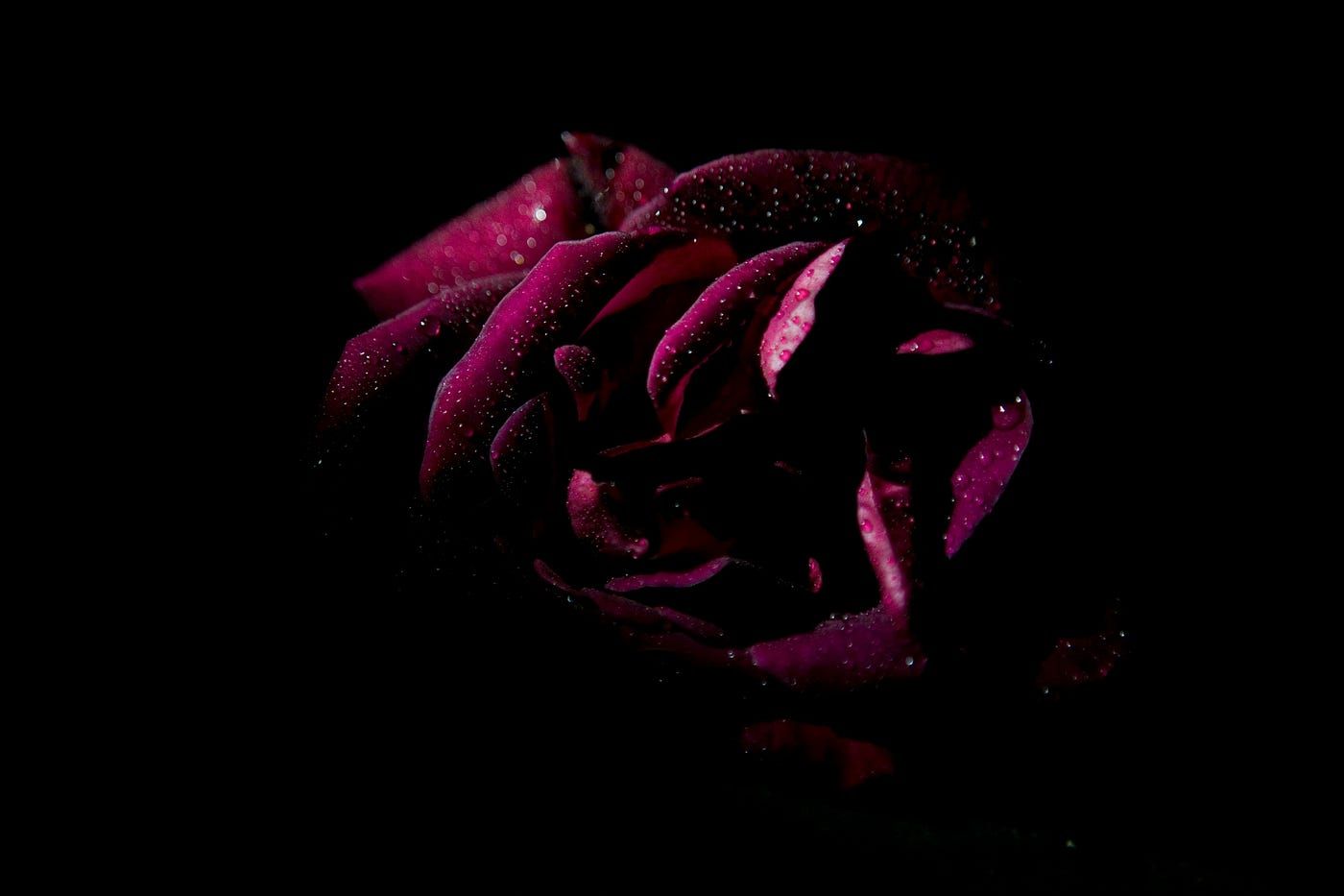 1400x933 Must Read Dark Romantasy Books You Can't Miss. By Laura M Devlin