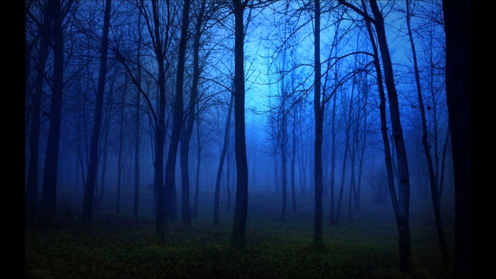1920x1080 Blue Twilight Forest