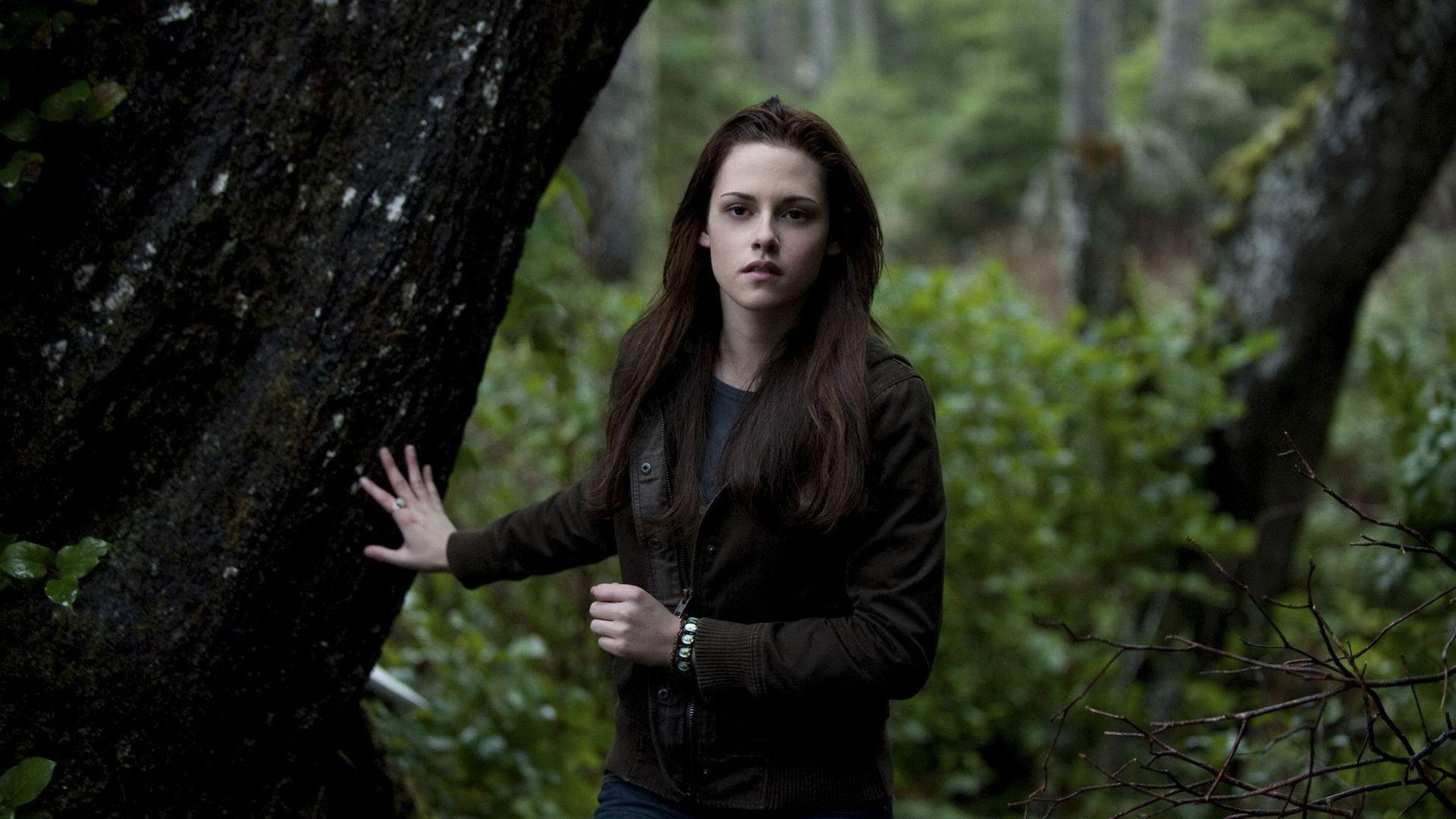 1920x1080 twilight HD wallpaper, background