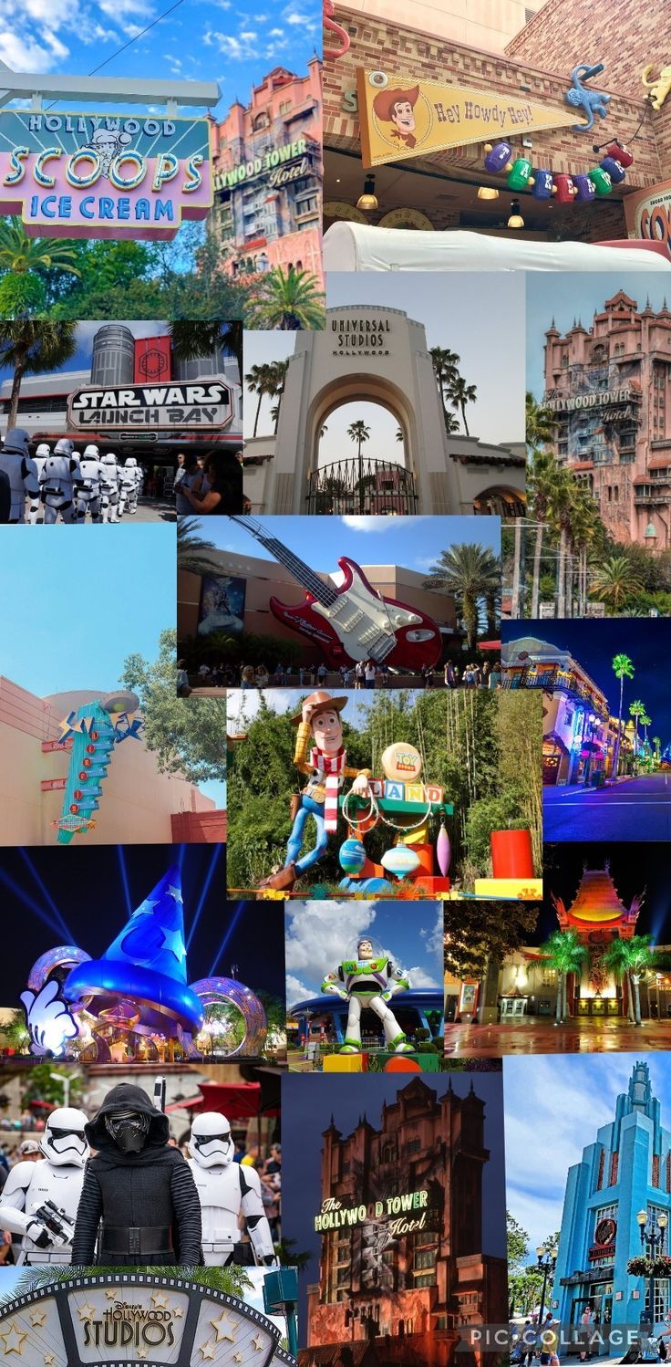 736x1498 Aesthetic Disney World Hollywood Studios Wallpaper
