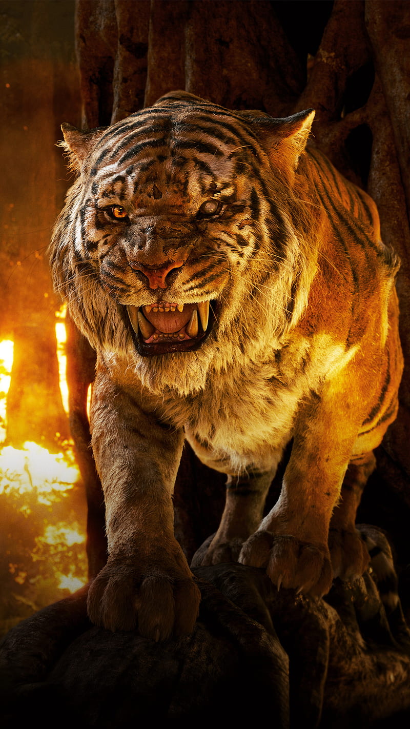 800x1422 HD shere khan wallpaper