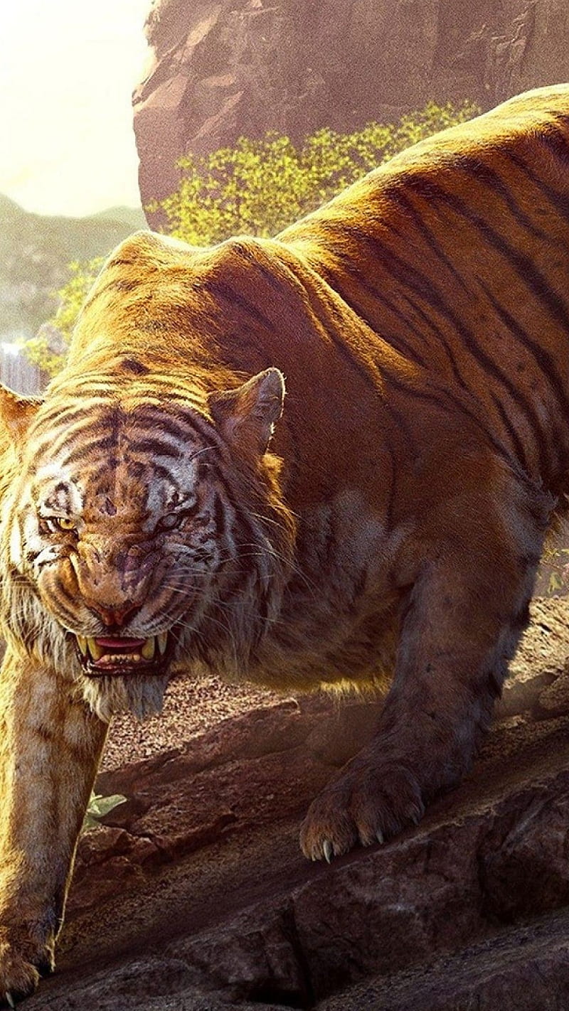 800x1422 Sher Khan, attack, eyes, tiger, HD phone wallpaper