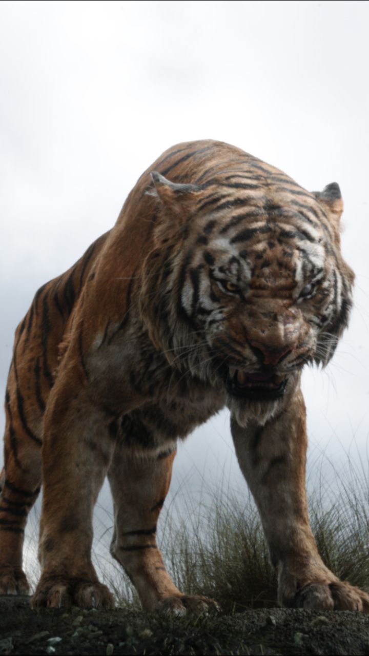 720x1280 Shere Khan Phone Wallpaper: Free 4K & HD Downloads