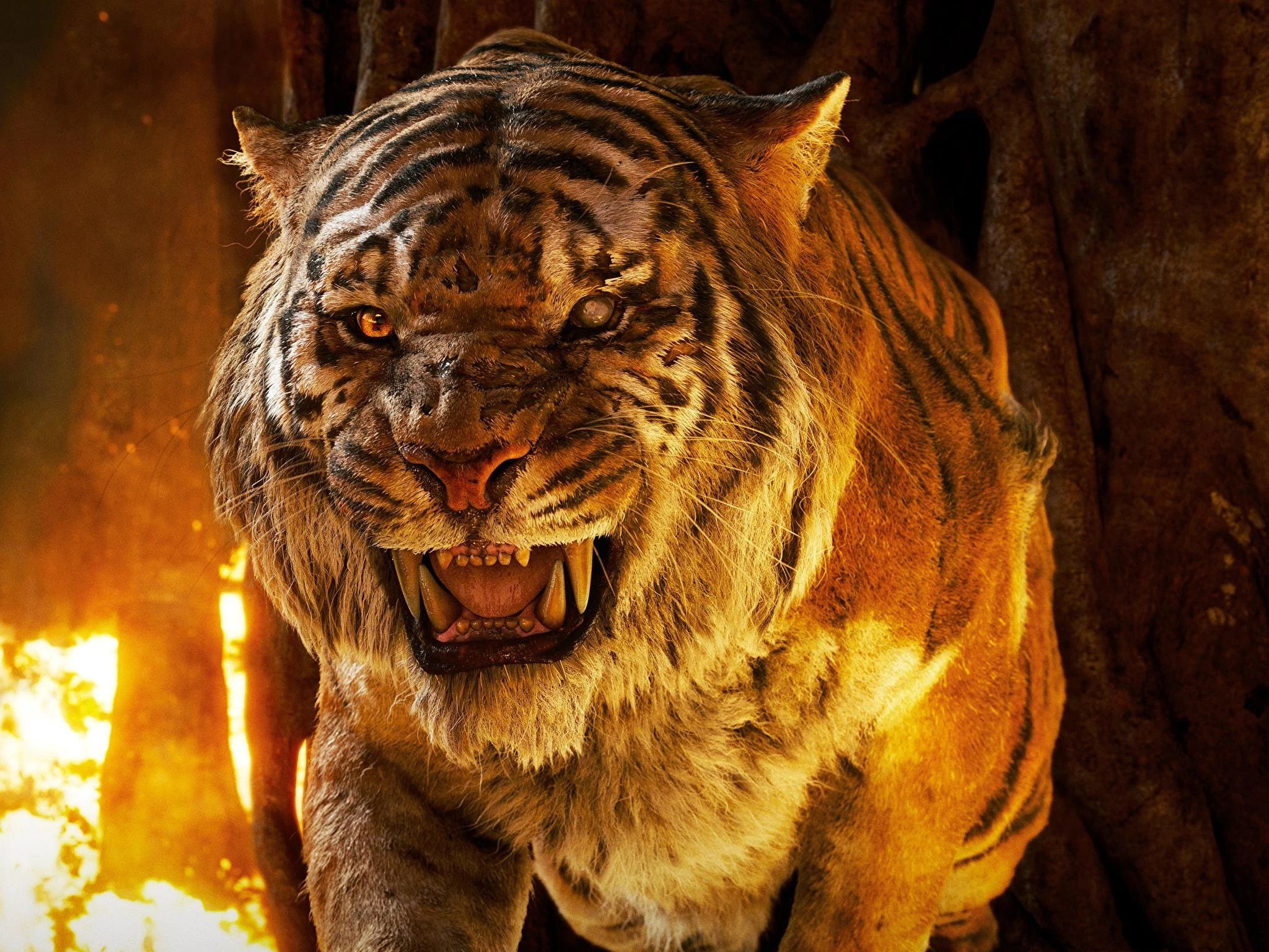 2048x1536 Jonathan Reilly Khan Jungle Book