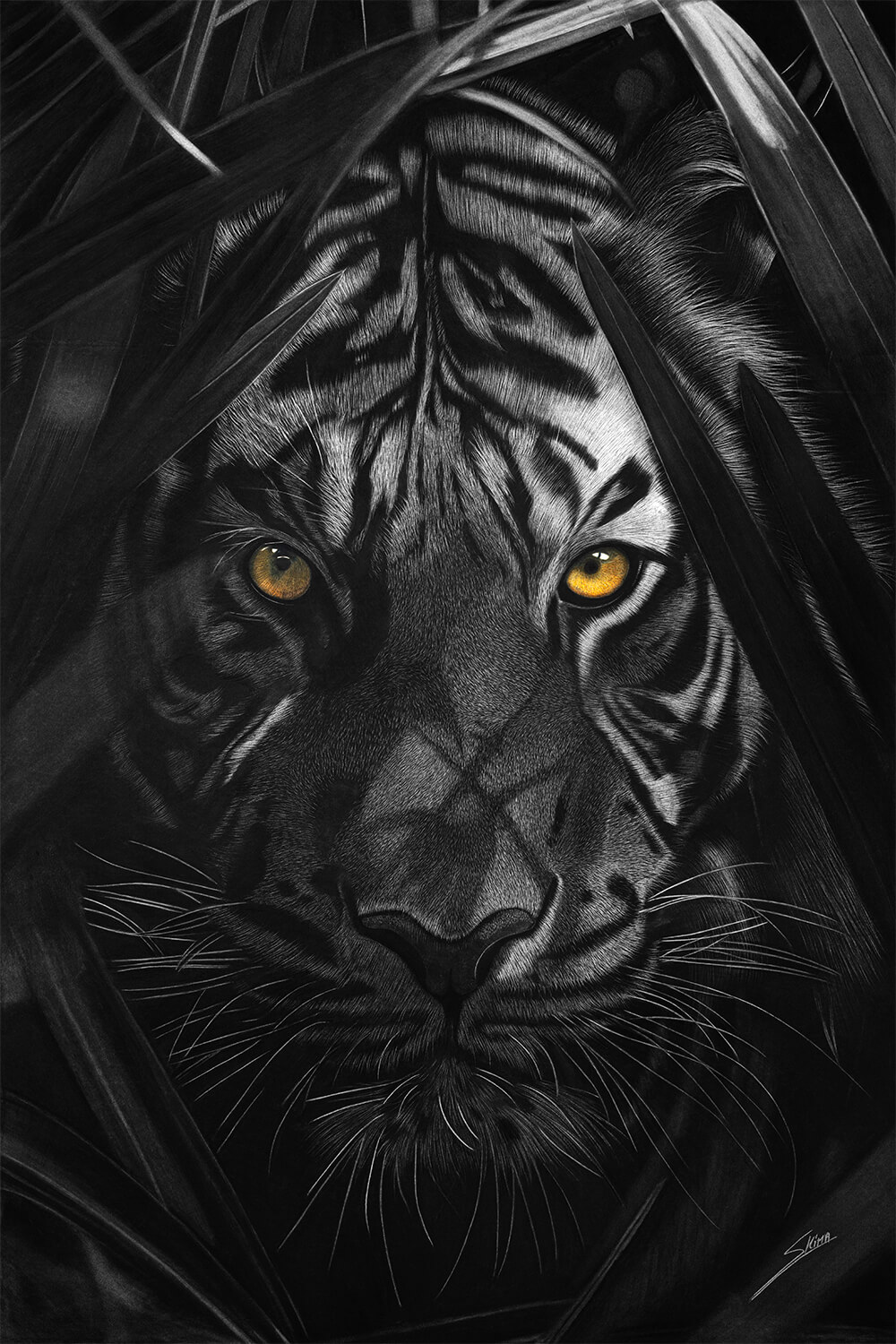 1000x1500 SHERE KHAN