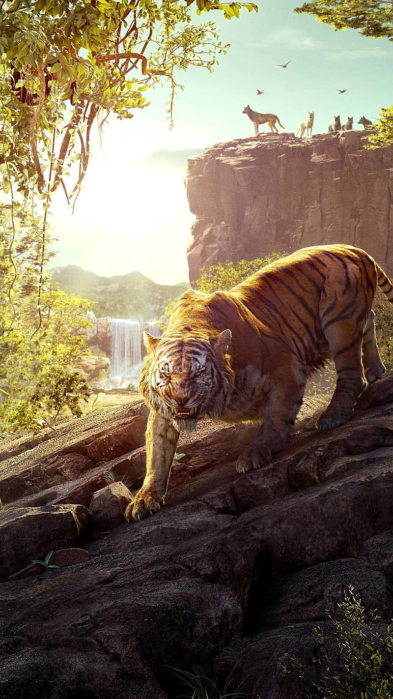 800x1422 Jungle Book, movie, poster, HD phone wallpaper