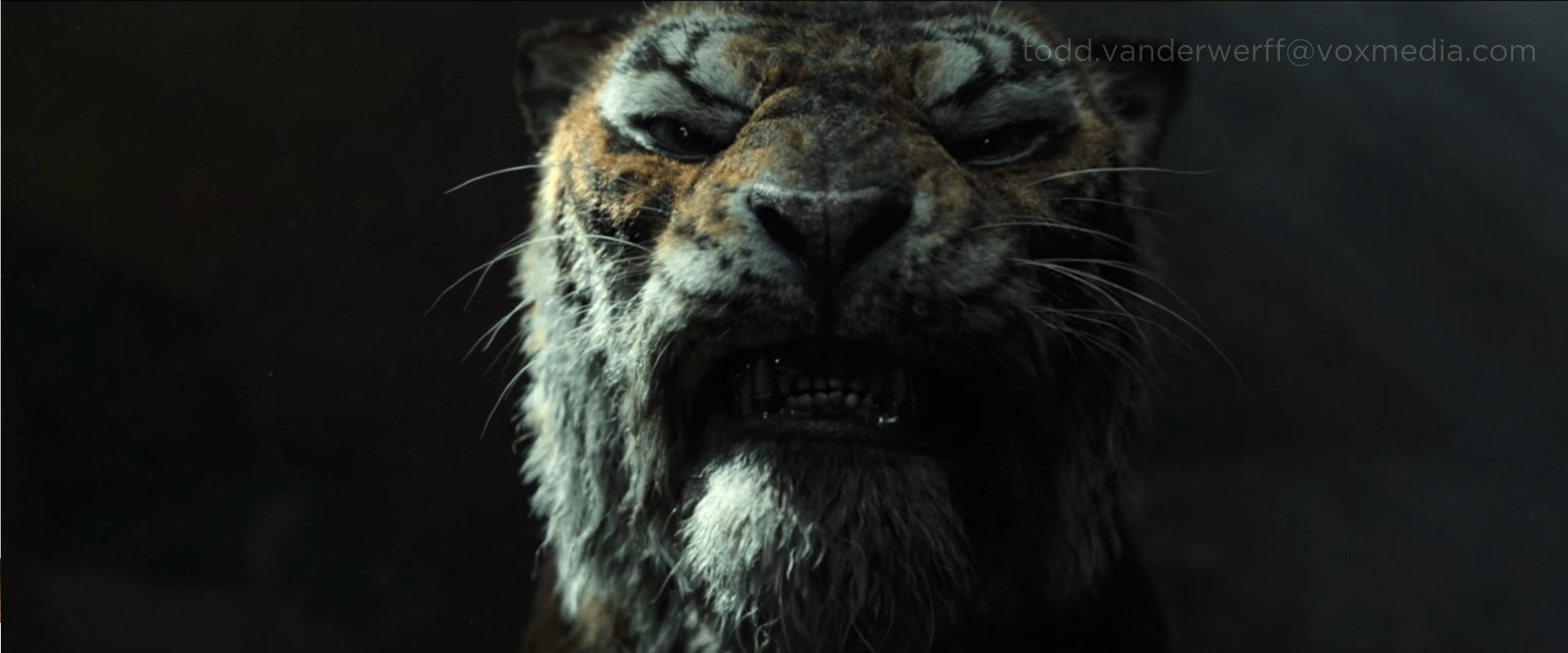 1921x800 Netflix's Mowgli: Legend of the Jungle review: AHHHHHHHHHHH!!!!