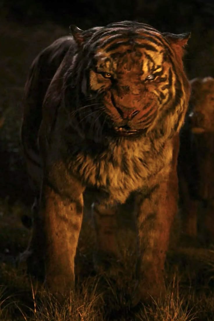 736x1104 King of the Jungle. Tiger from mowgli, Shere khan wallpaper, Gnarly tiger picture