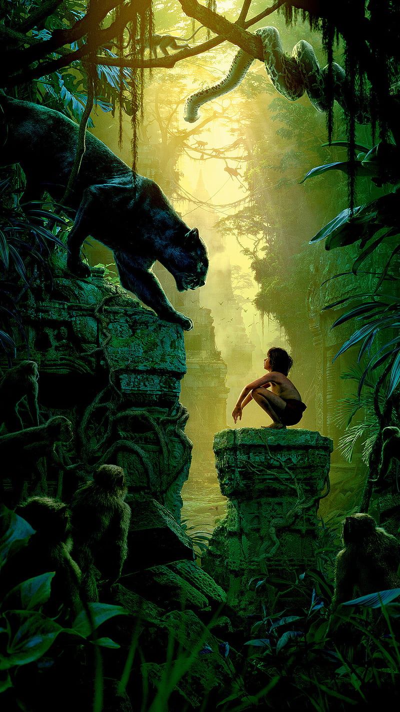 800x1422 HD sher khan wallpaper