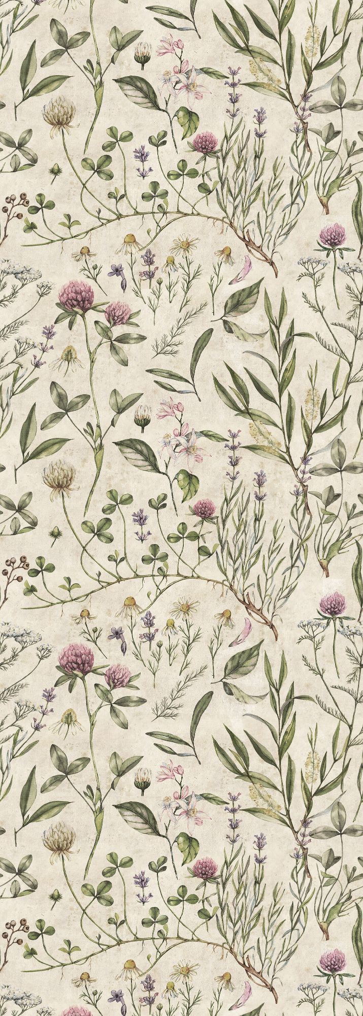 715x2000 VINTAGE BOTANIC Illustration Wallpaper 100x280CM