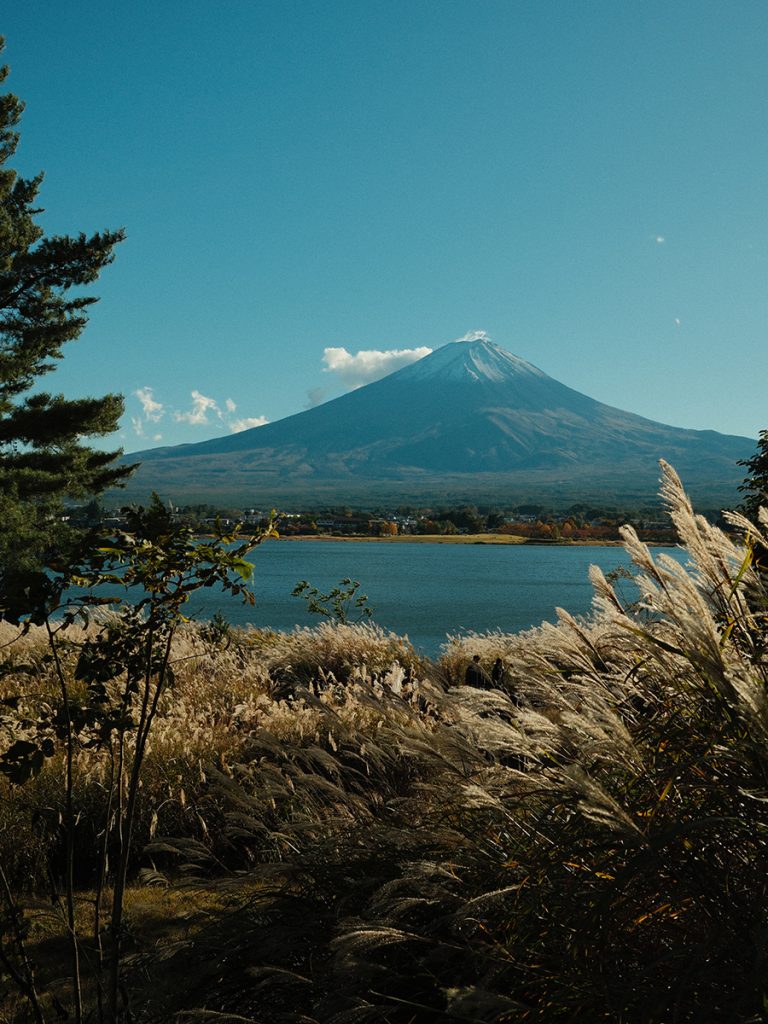 768x1024 Biking Lake Kawaguchiko: The Best Route for Mt. Fuji Views