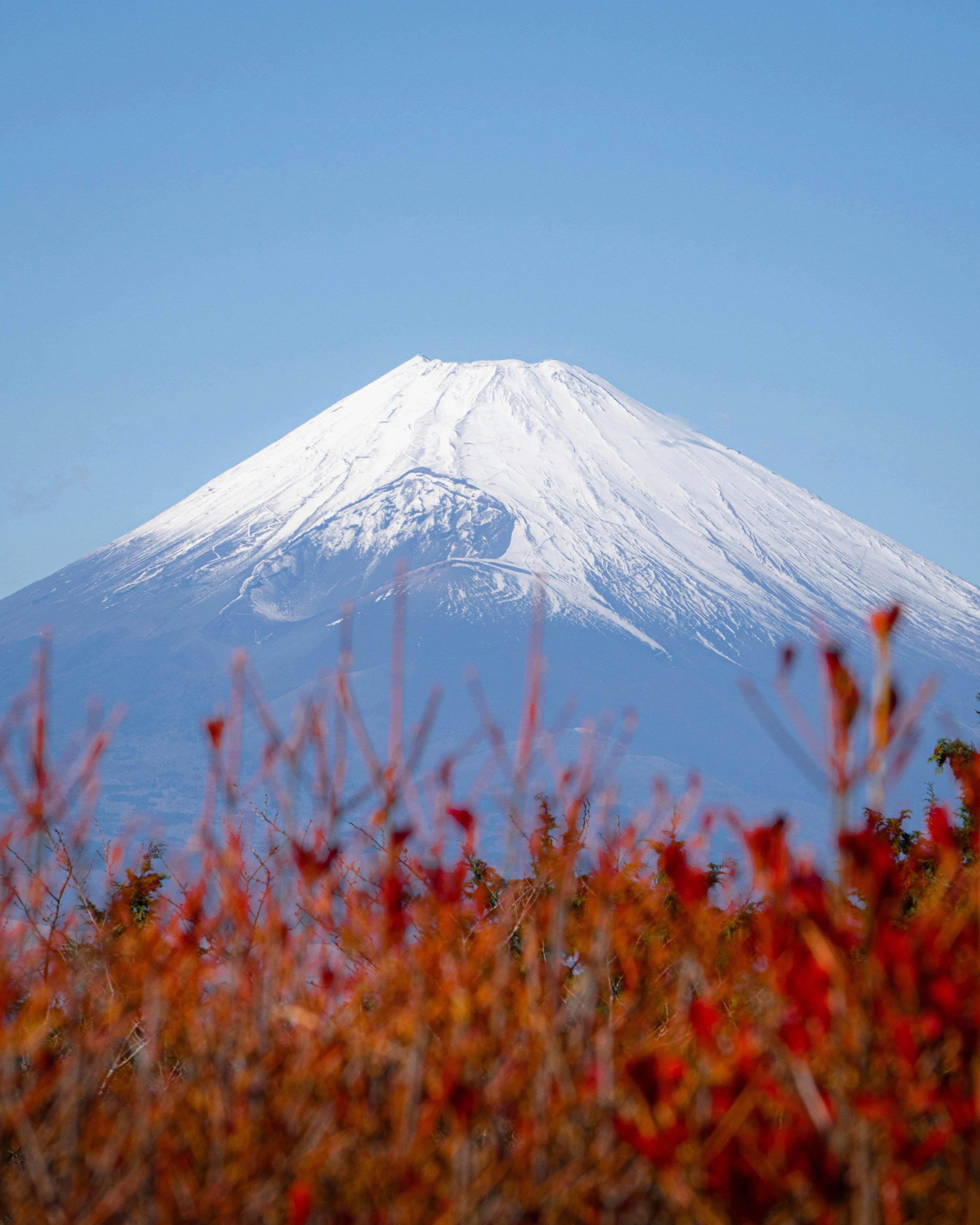 3690x4611 Mount Fuji's Kawaguchiko Momiji Festival: The Iconic Autumn View of Japan