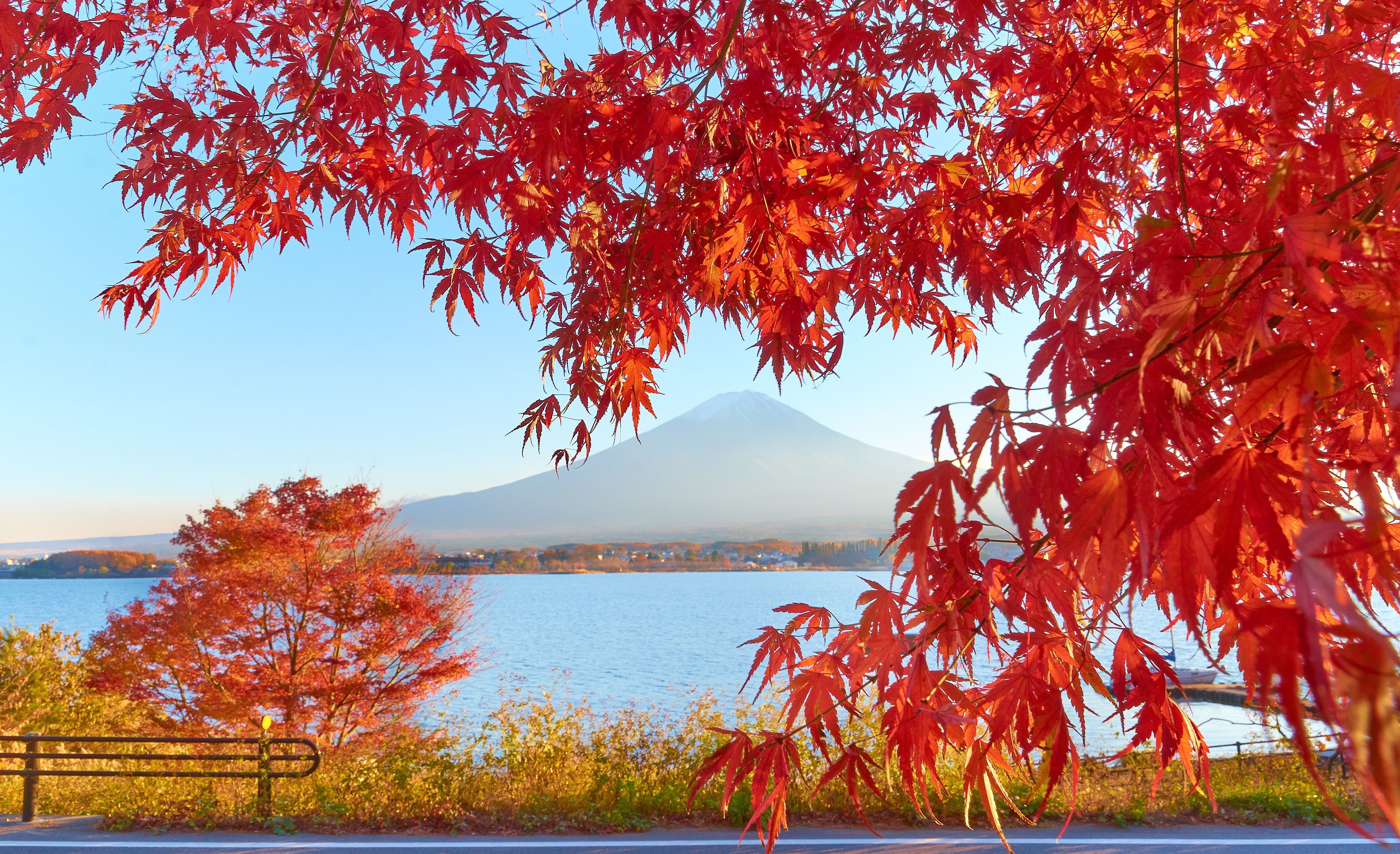 3840x2343 Lake Kawaguchiko and Mount Fuji at sunset during the Momijigari