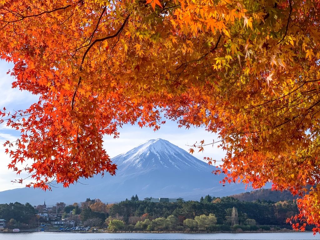 1024x768 Mt.Fuji & autumn leaves at lake Kawaguchiko minute traveller