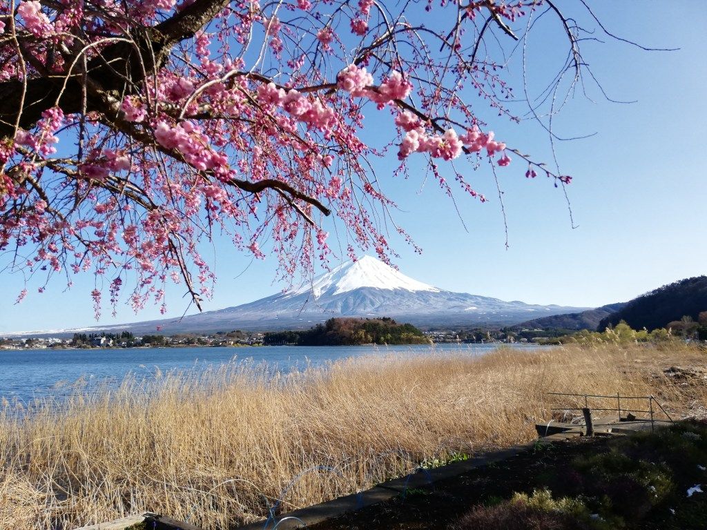 1024x768 Top Best Spots to Photograph Mount Fuji in the Lake Kawaguchiko Area. Tourist info by K's House local staffs