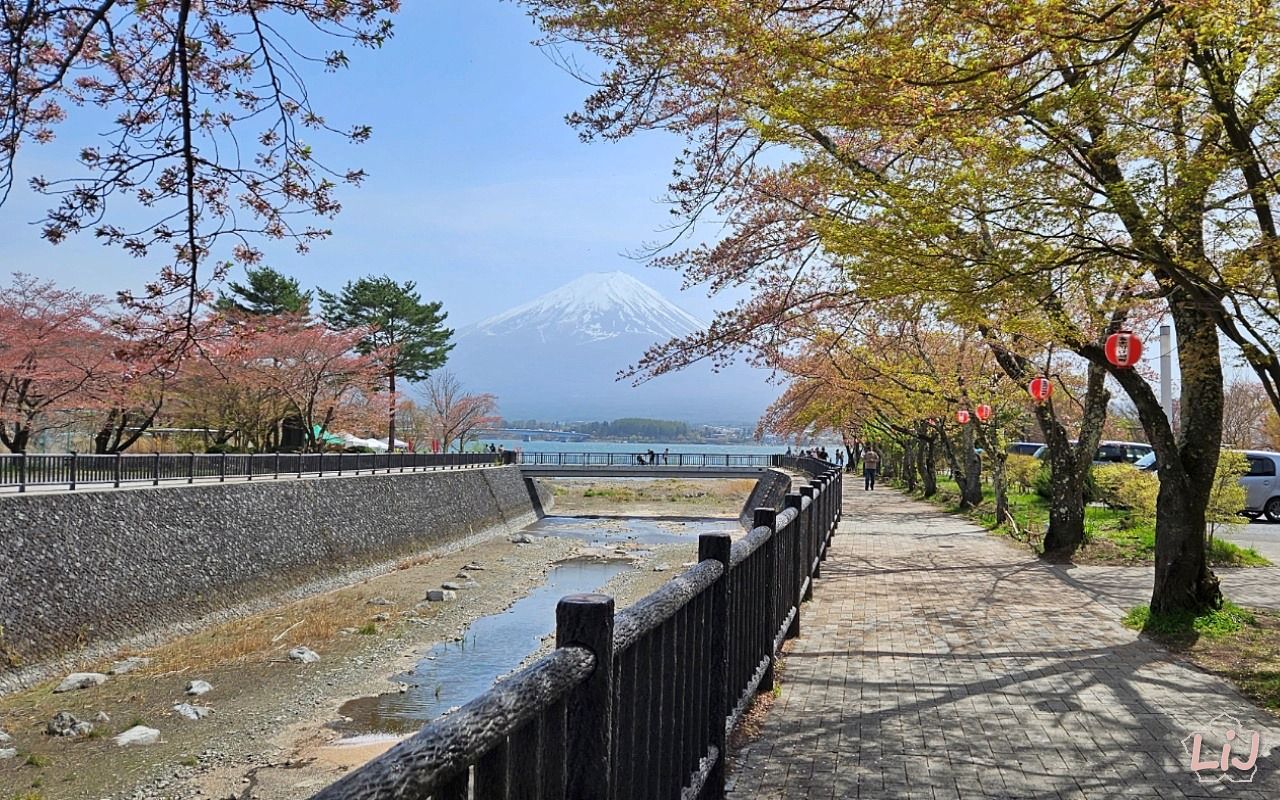 1280x800 Daytrip to Kawaguchiko to See Mount Fuji (Spring Edition) in Japan