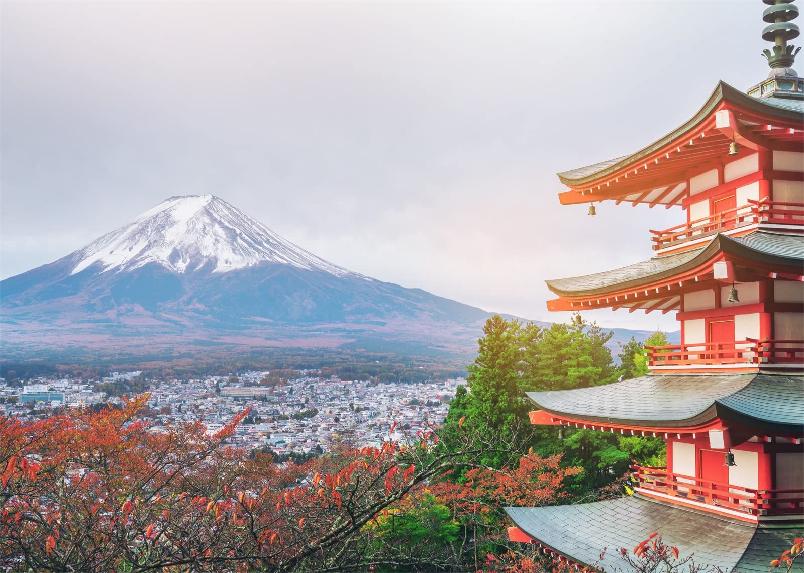 1600x1140 Loccor 9x6ft Japan Cherry Blossoms Backdrop Kawaguchiko Mount Fuji Photography Background Asian Tapestry Travel Birthday Japanese Party Decor Wedding Poster Video Photo Shoot Props Wallpaper : Amazon.ca: Electronics