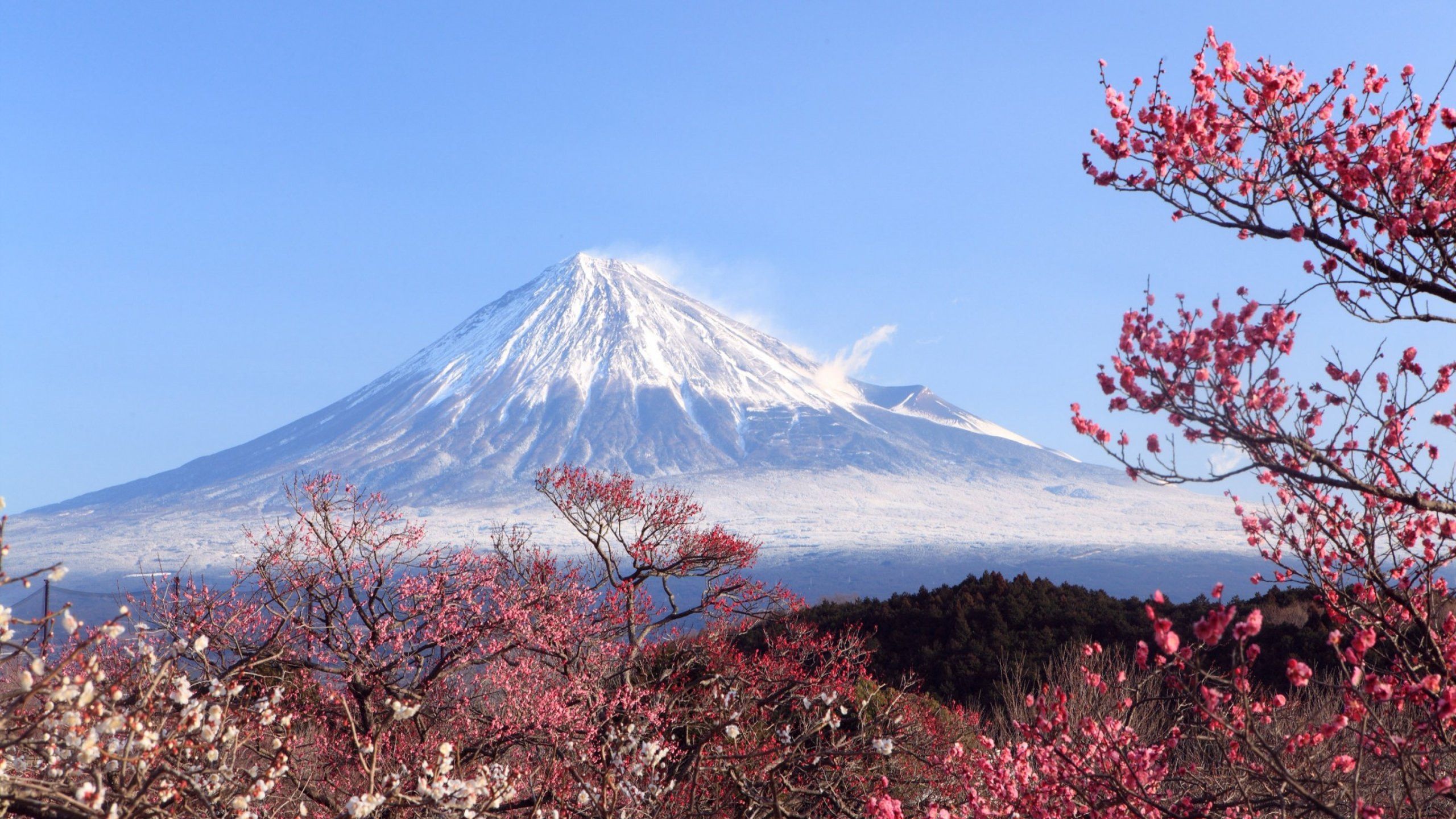 2560x1440 Mount Fuji Lake Kawaguchiko Japan Desktop Wallpaper 116040