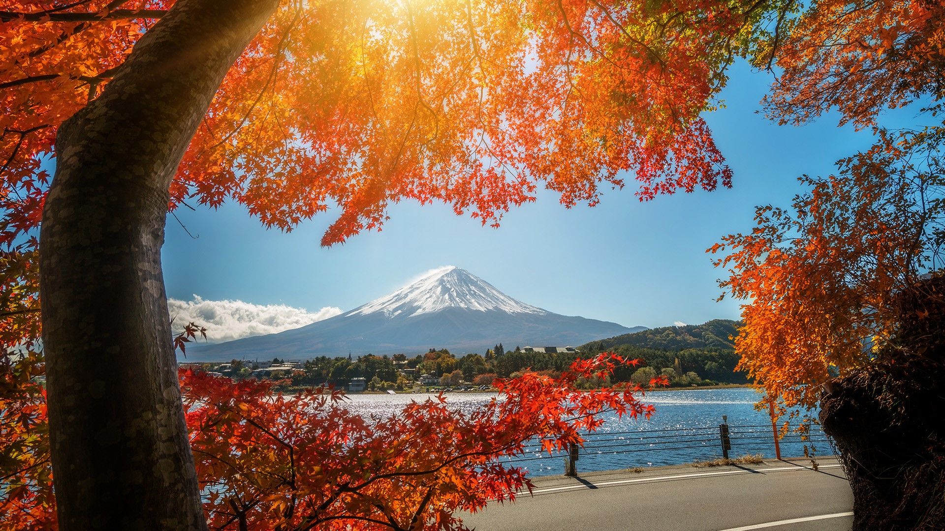 1920x1080 Mount Fuji view from Lake Kawaguchiko in autumn, Japan. Windows Spotlight Image