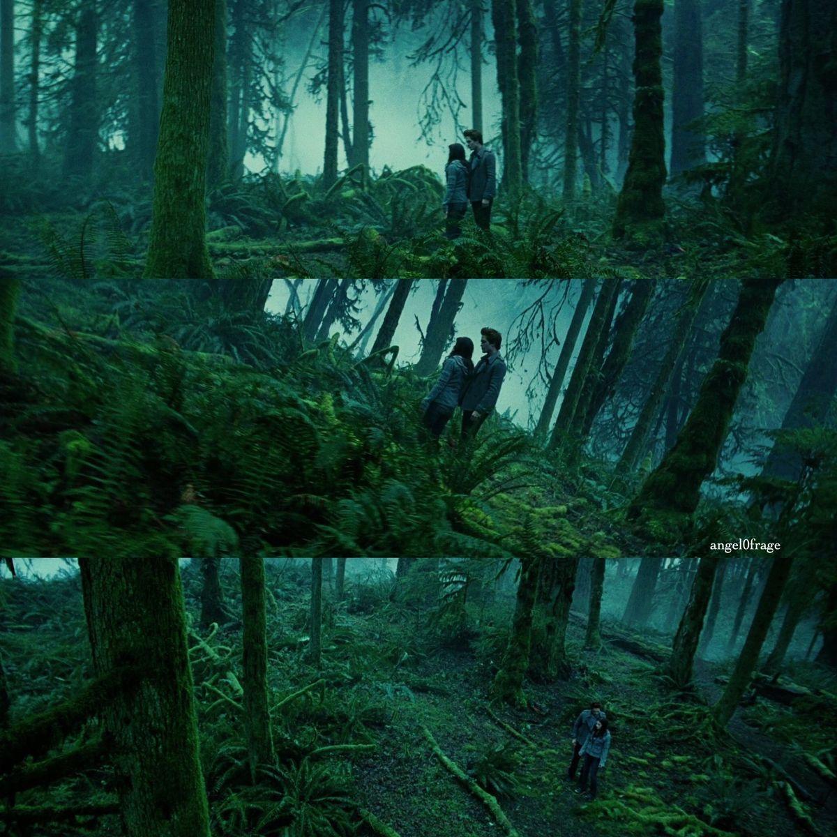 1200x1200 Together in the forest. Twilight saga, Twilight, Forest
