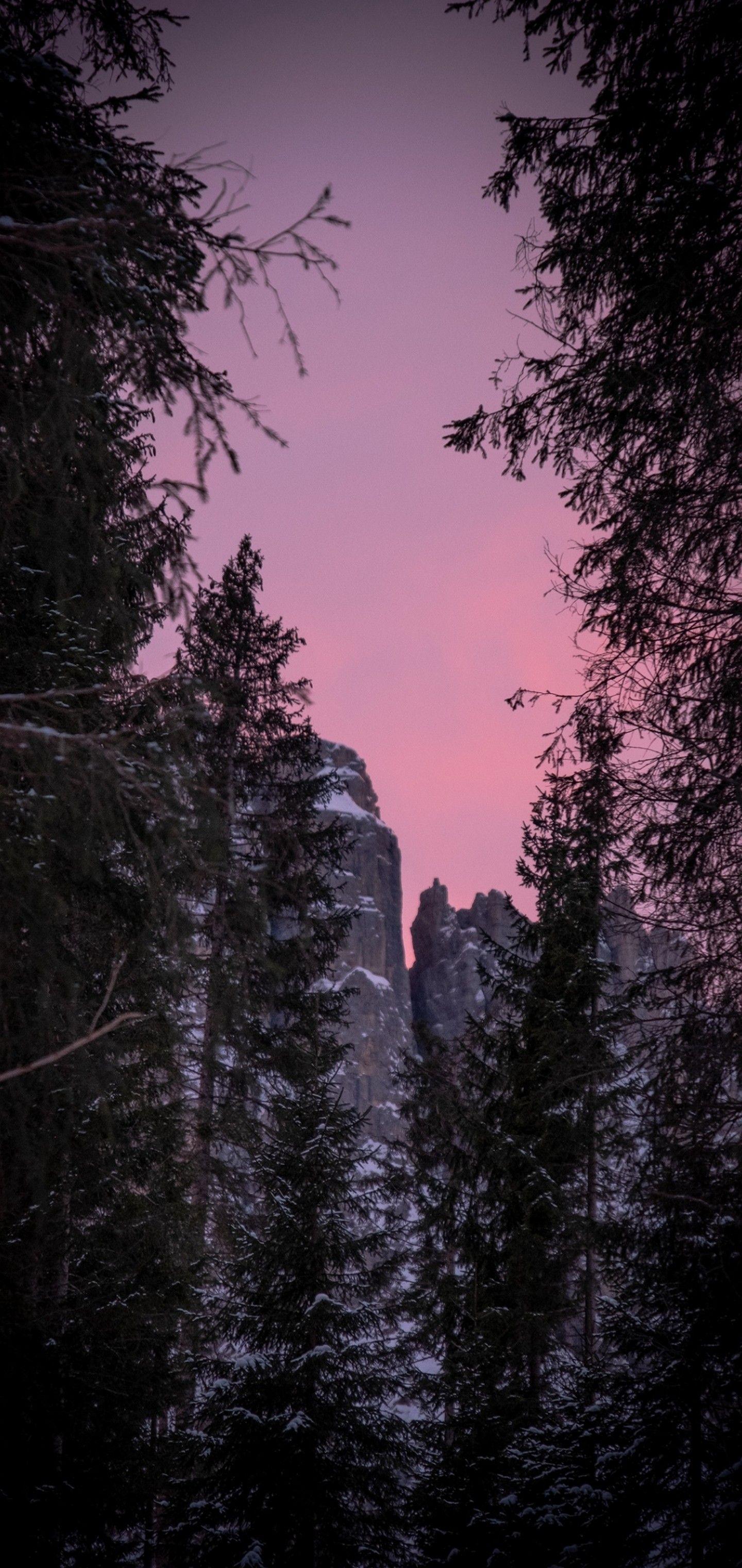 1440x3040 Twilight Snow Mountains Nature Wallpaper - [1440x3040]