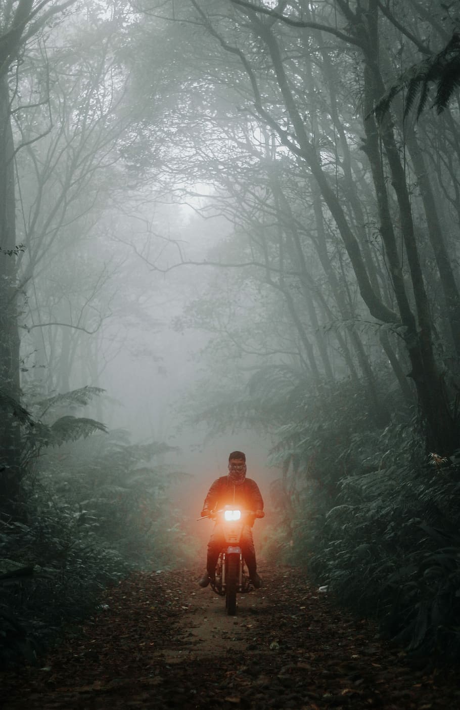 910x1404 bike lights 1080P, 2K, 4K, 5K HD wallpaper free download