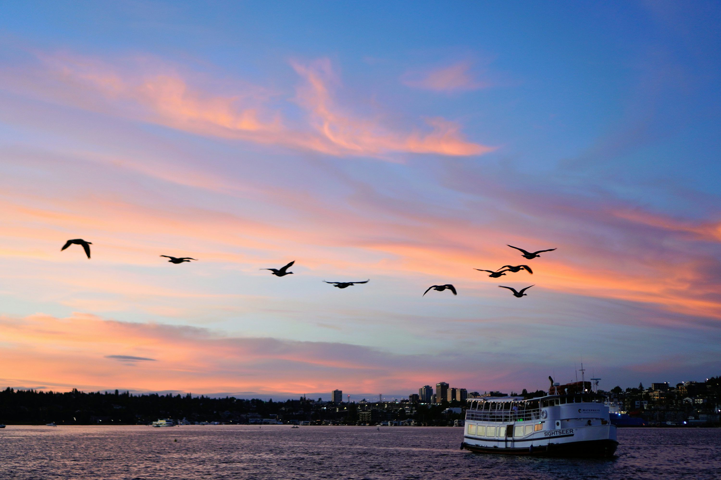 3000x2000 Birds fly past a boat during sunset
