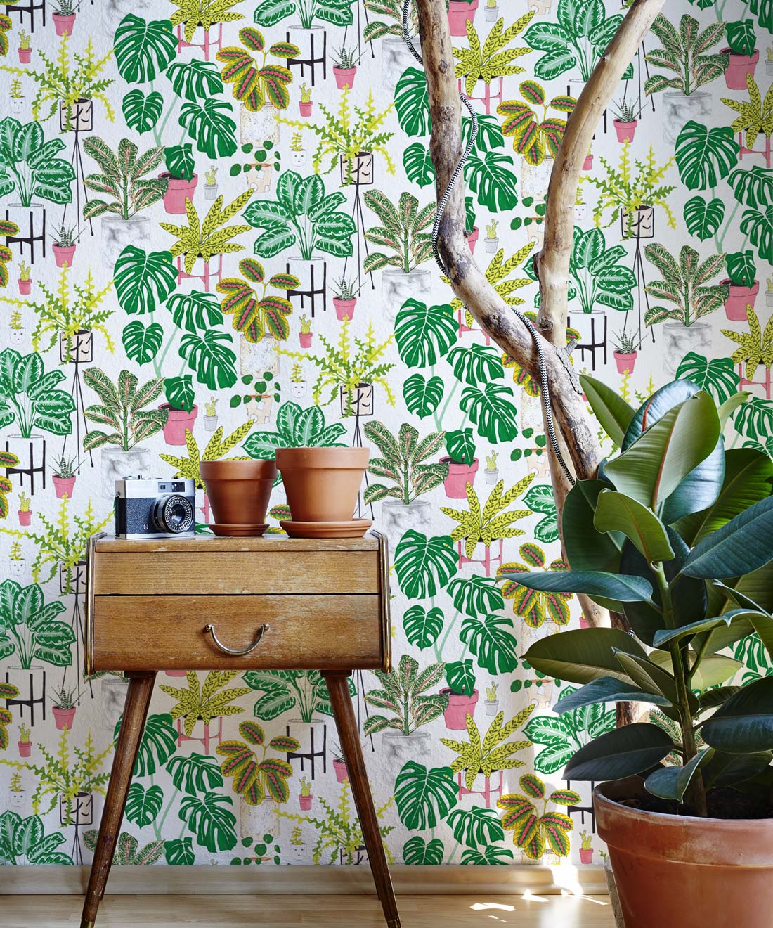 1100x1320 Milton & King Plants Wallpaper