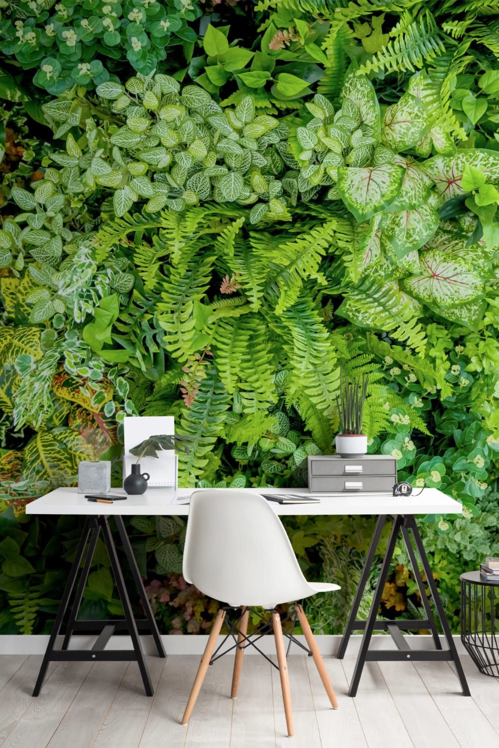 1000x1500 Plant Wall Leaf Wallpaper Mural