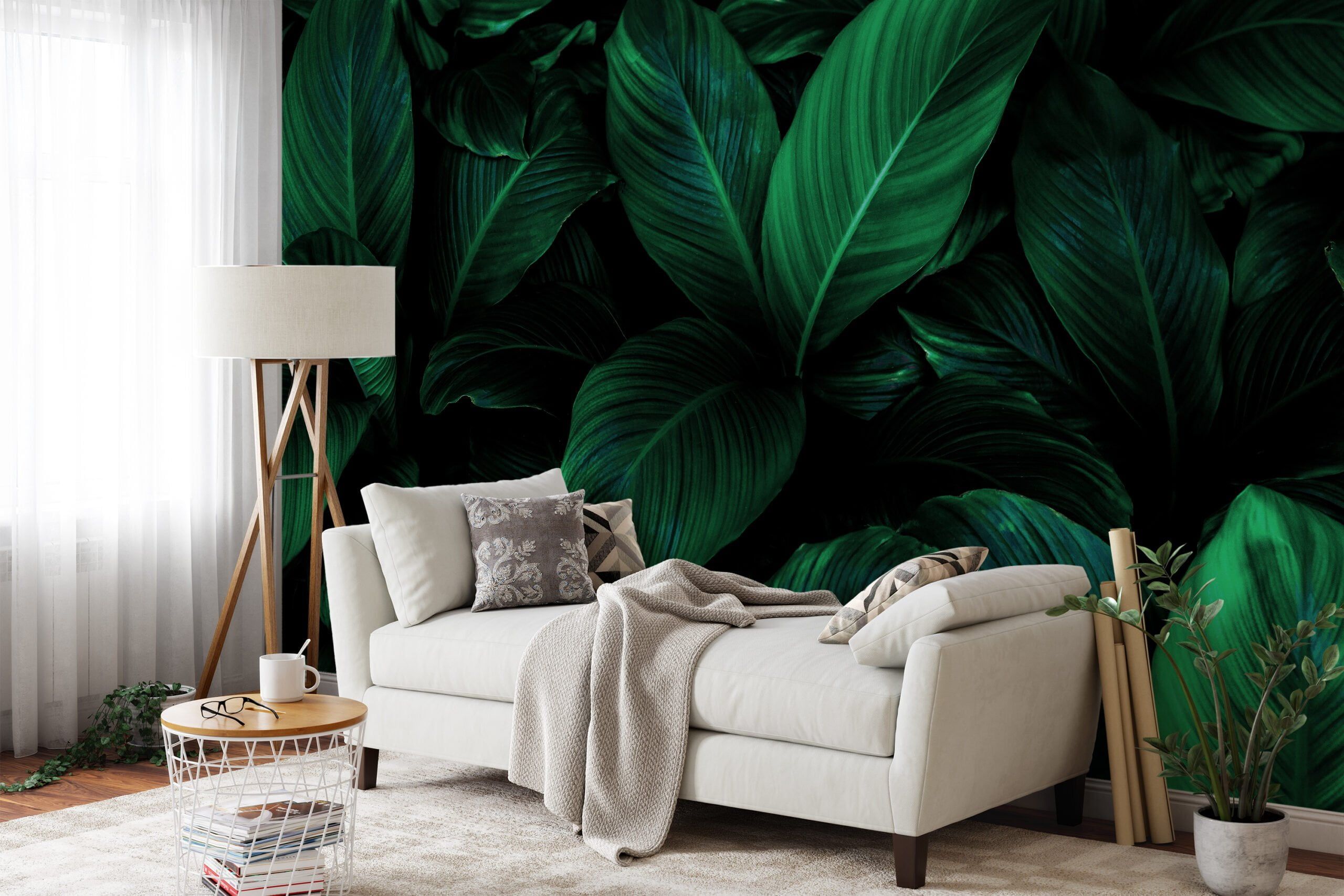 2560x1707 Tropical Dark Themed Cannifolium Plant Leaves Wallpaper, Mystical Tropical Peel & Stick Wall Mural