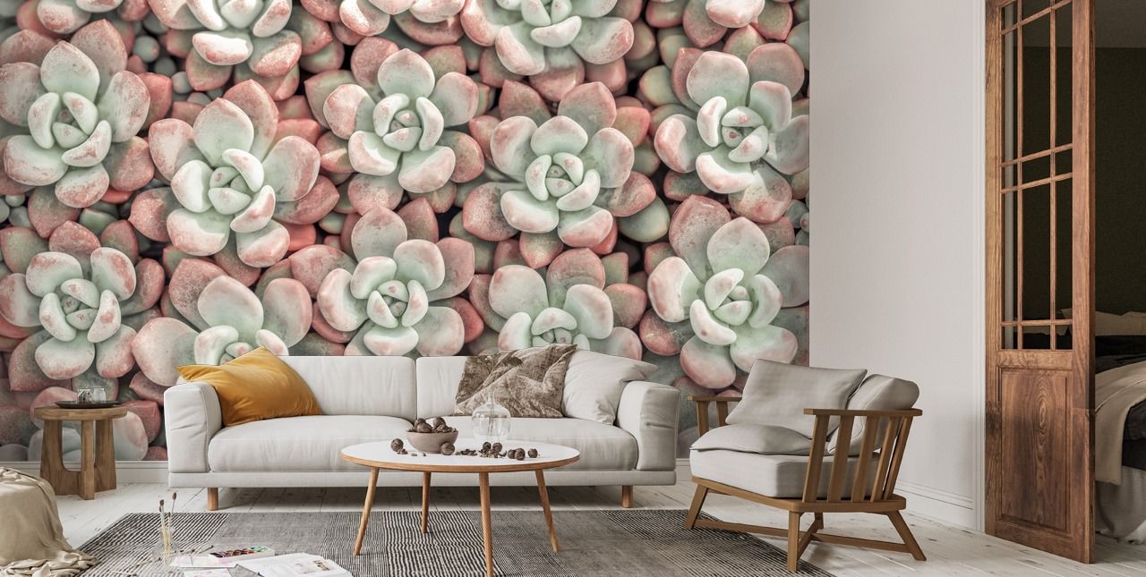1280x645 Succulents Floral Wall Mural