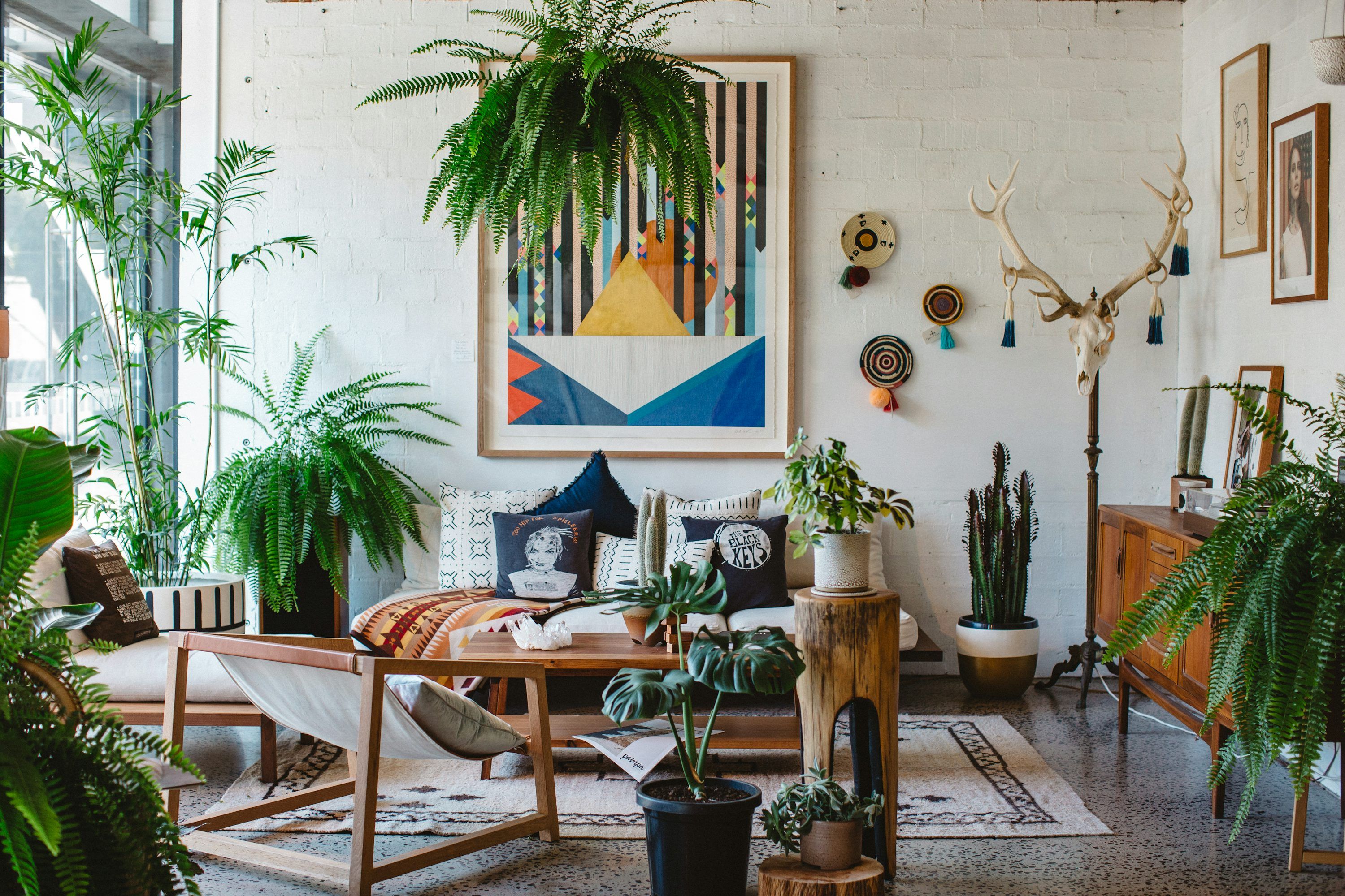 3000x2000 Room With Plants Picture. Download Free Image