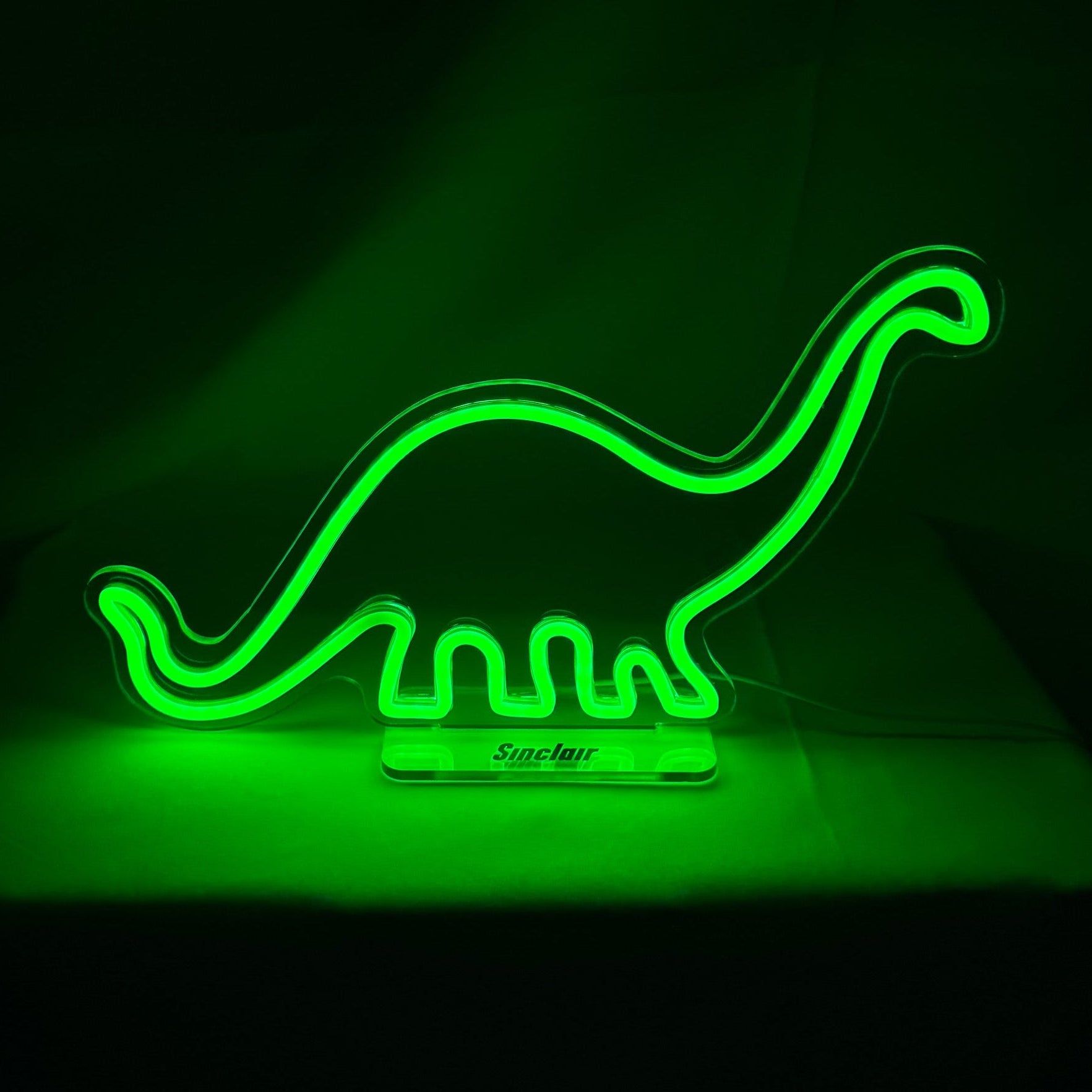 1765x1765 Dino LED Neon Light
