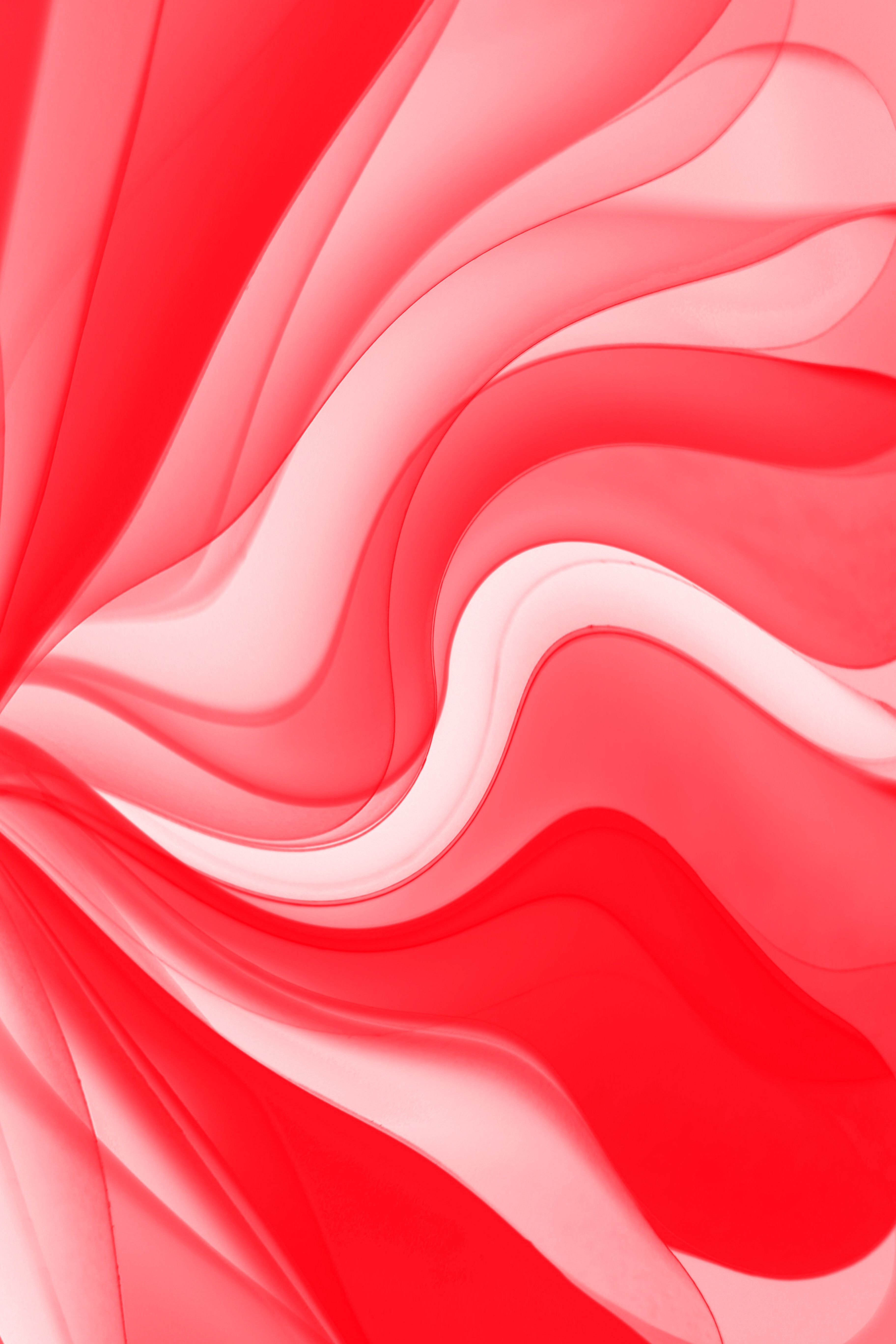 3648x5472 White And Red Gradient Background Photo, Download The BEST Free White And Red Gradient Background & HD Image