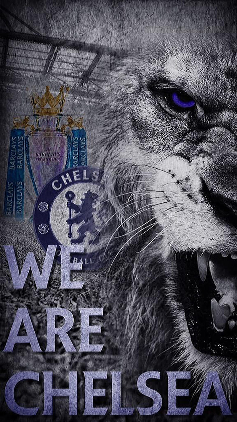 800x1422 HD chelsea lion wallpaper