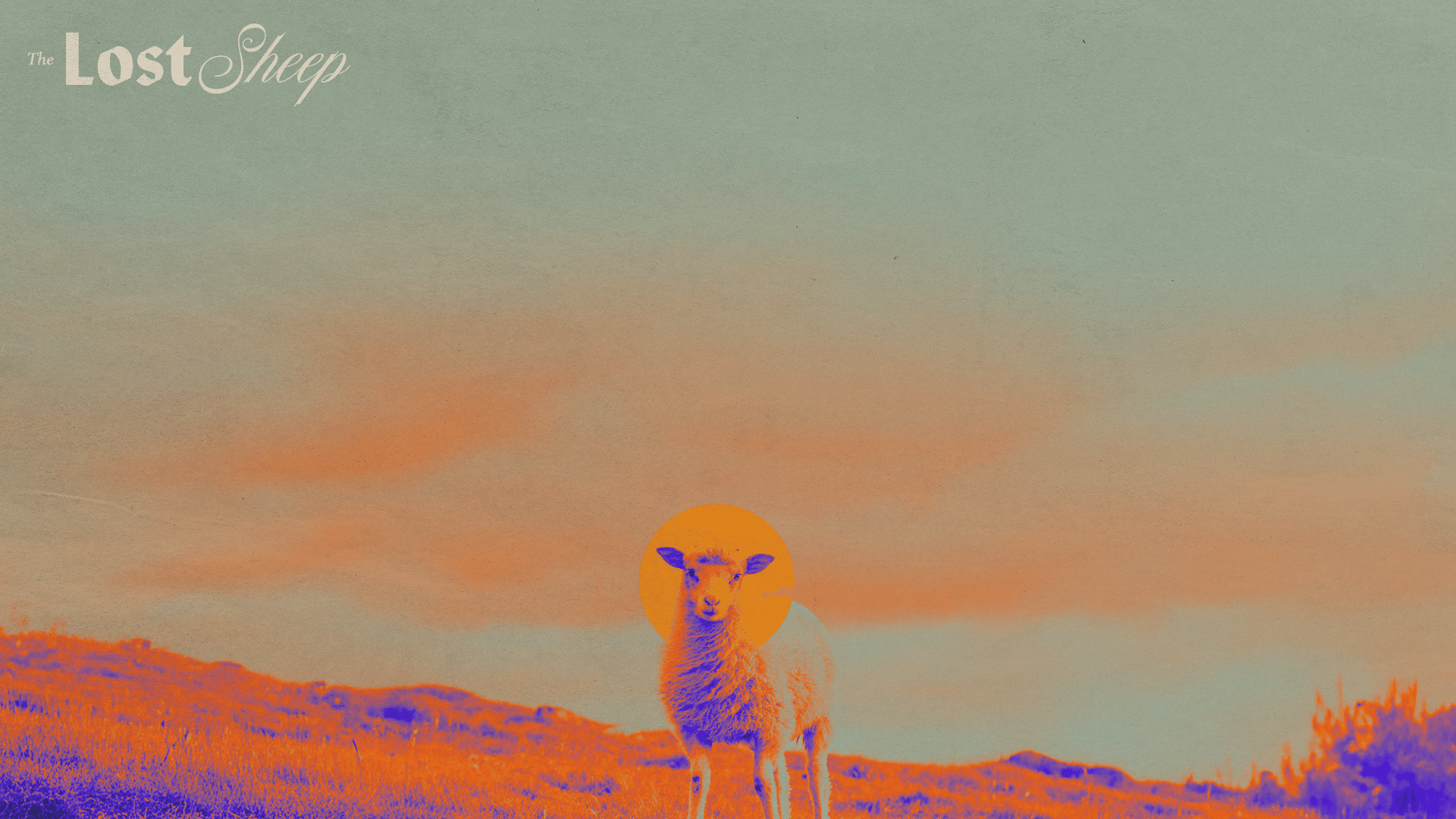 1920x1080 Lost Sheep