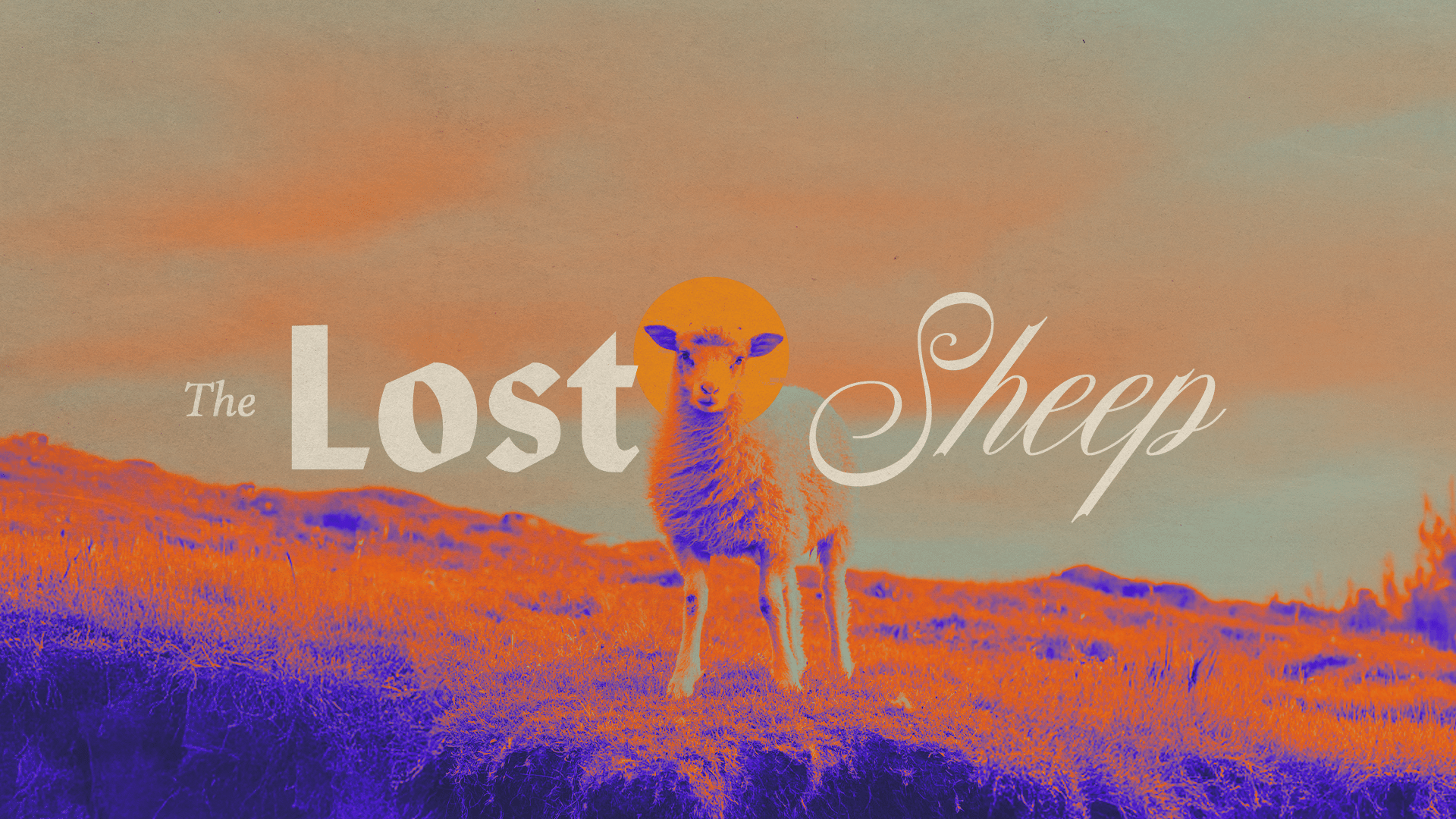 1920x1080 Lost Sheep