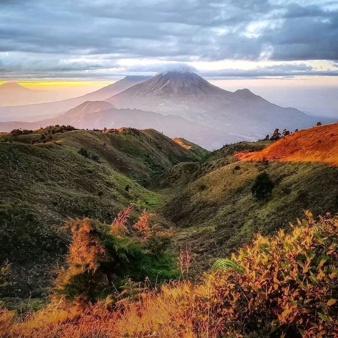 1079x1080 PRAU MOUNTAIN. Trip.com Wonosobo