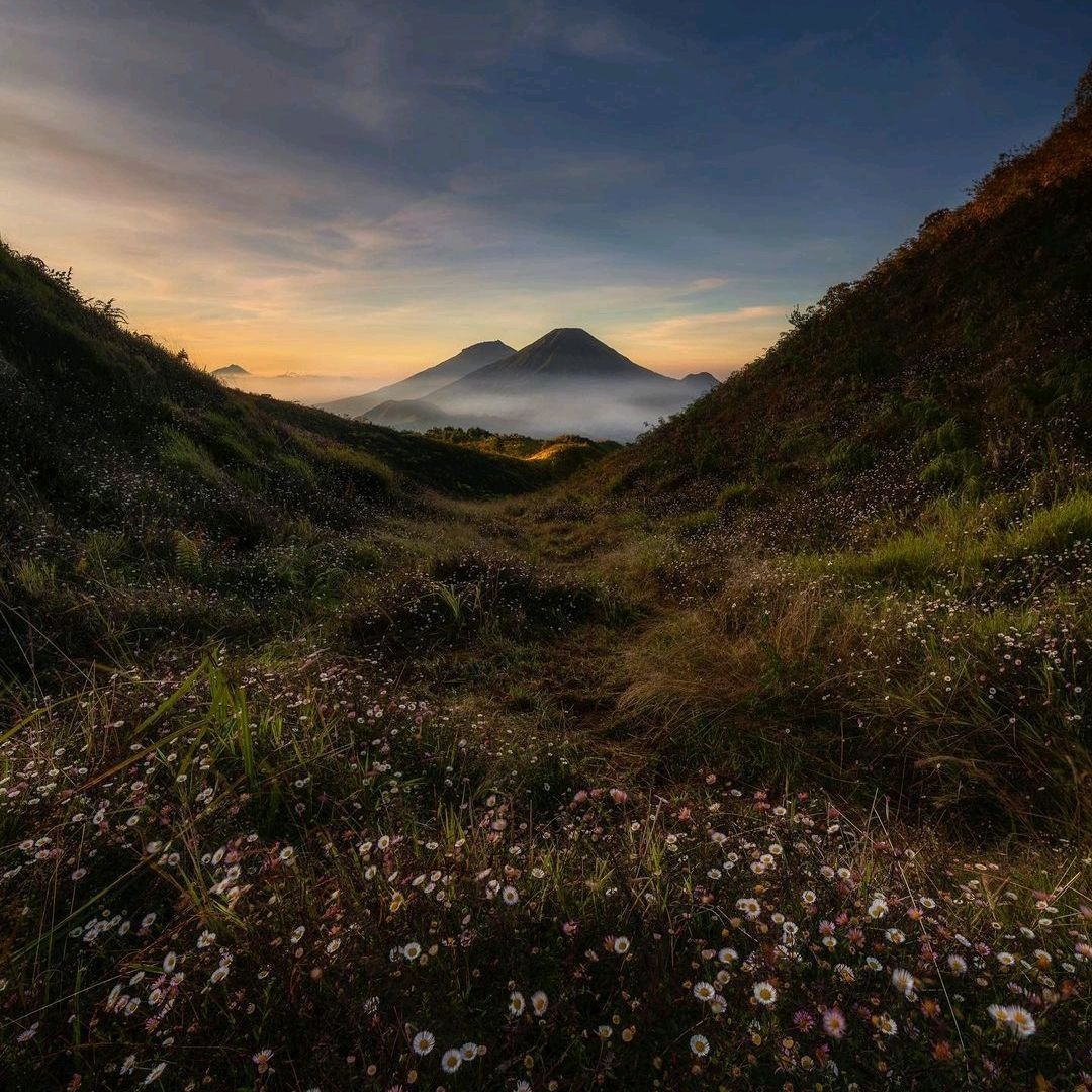 1080x1080 PRAU MOUNTAIN. Trip.com Wonosobo