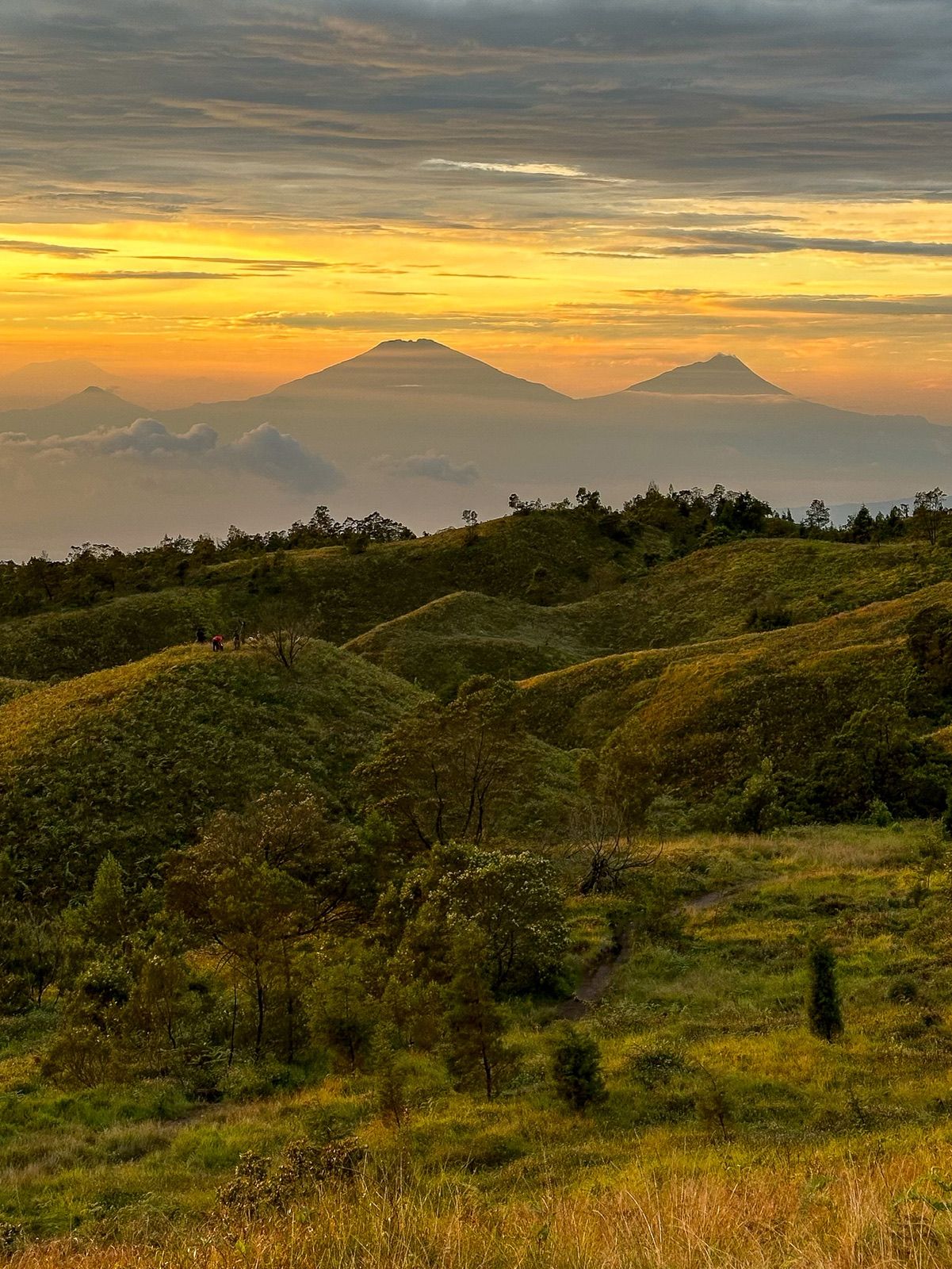 1201x1600 Mount Prau Tickets [2026], Prices, Reviews & Opening Hours
