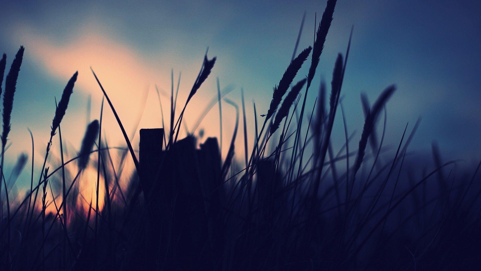 1920x1080 Silhouette Wallpaper HD