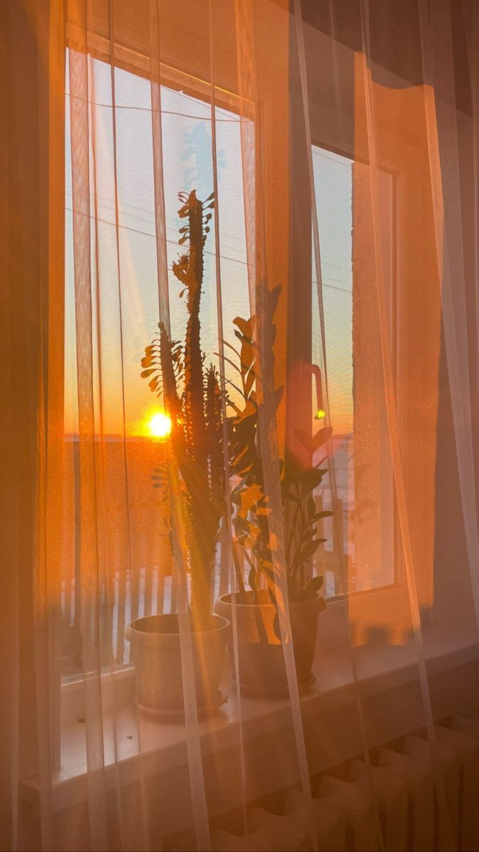 675x1200 Sunset behind Sheer Curtains. Aesthetic Window Decor. Værelsesdesign, Naturfotografering, Fotografi