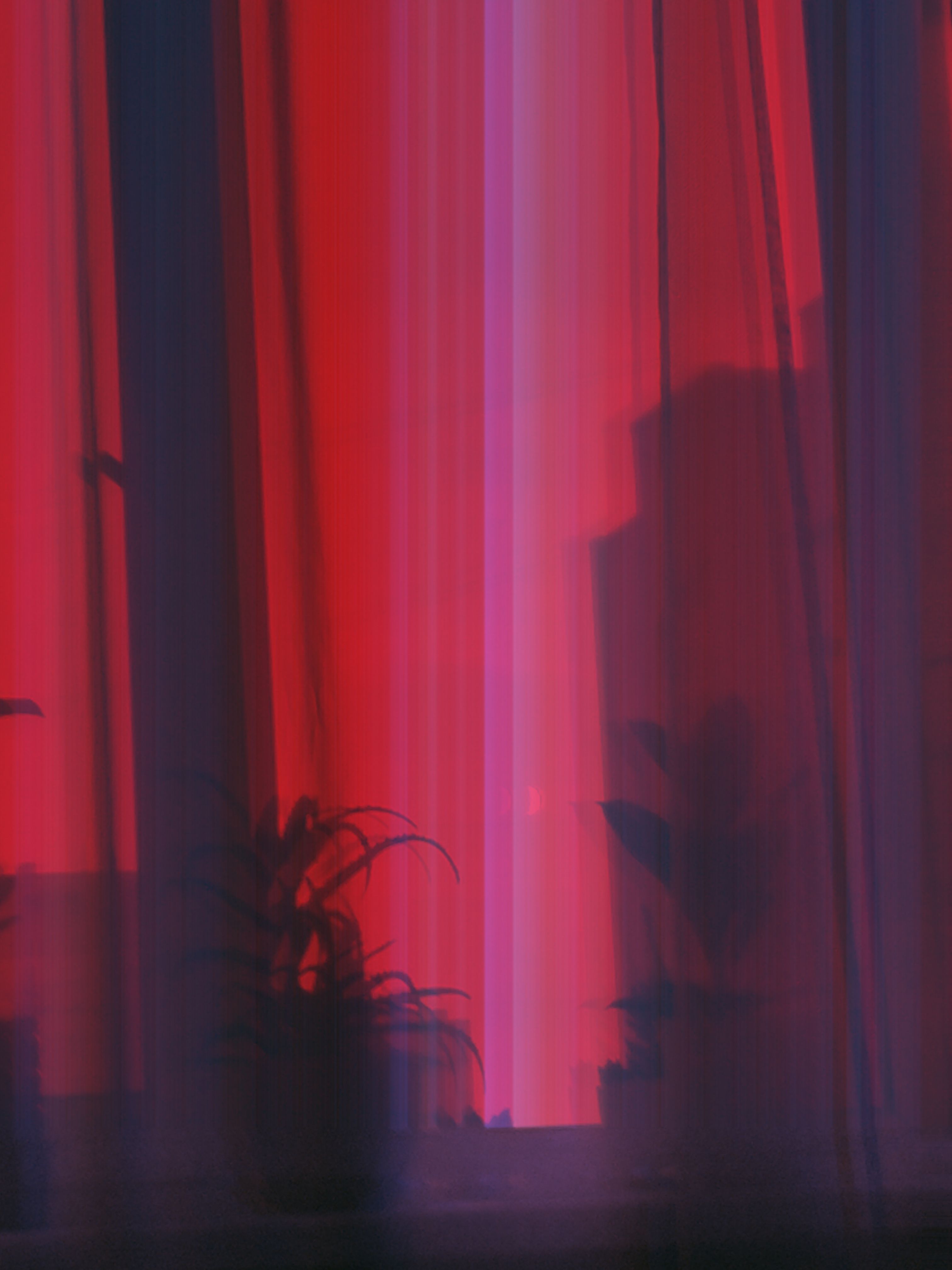 3024x4032 Potted Plants Behind the Curtain · Free